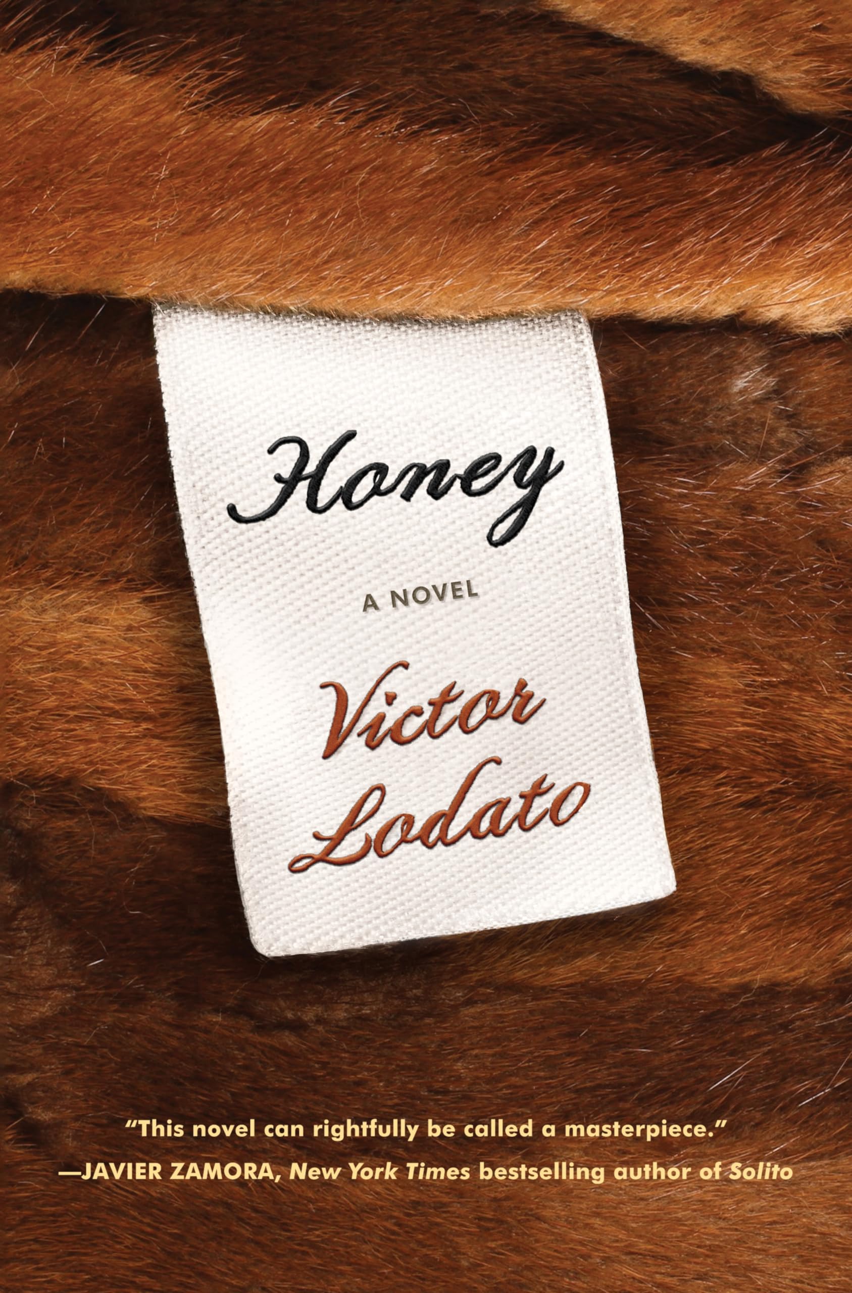 Honey: A Novel,Used