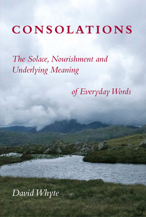 Consolations: The Solace, Nourishment and Underlying Meaning of Everyday Words,New