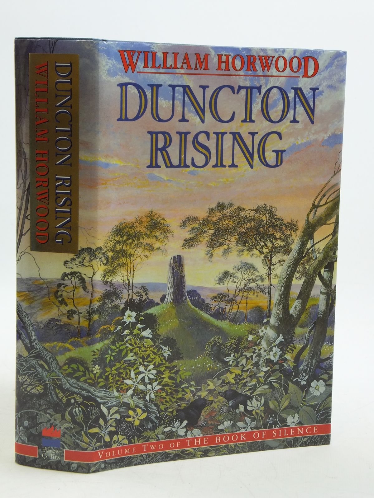 Duncton Rising (Book Of Silence),New
