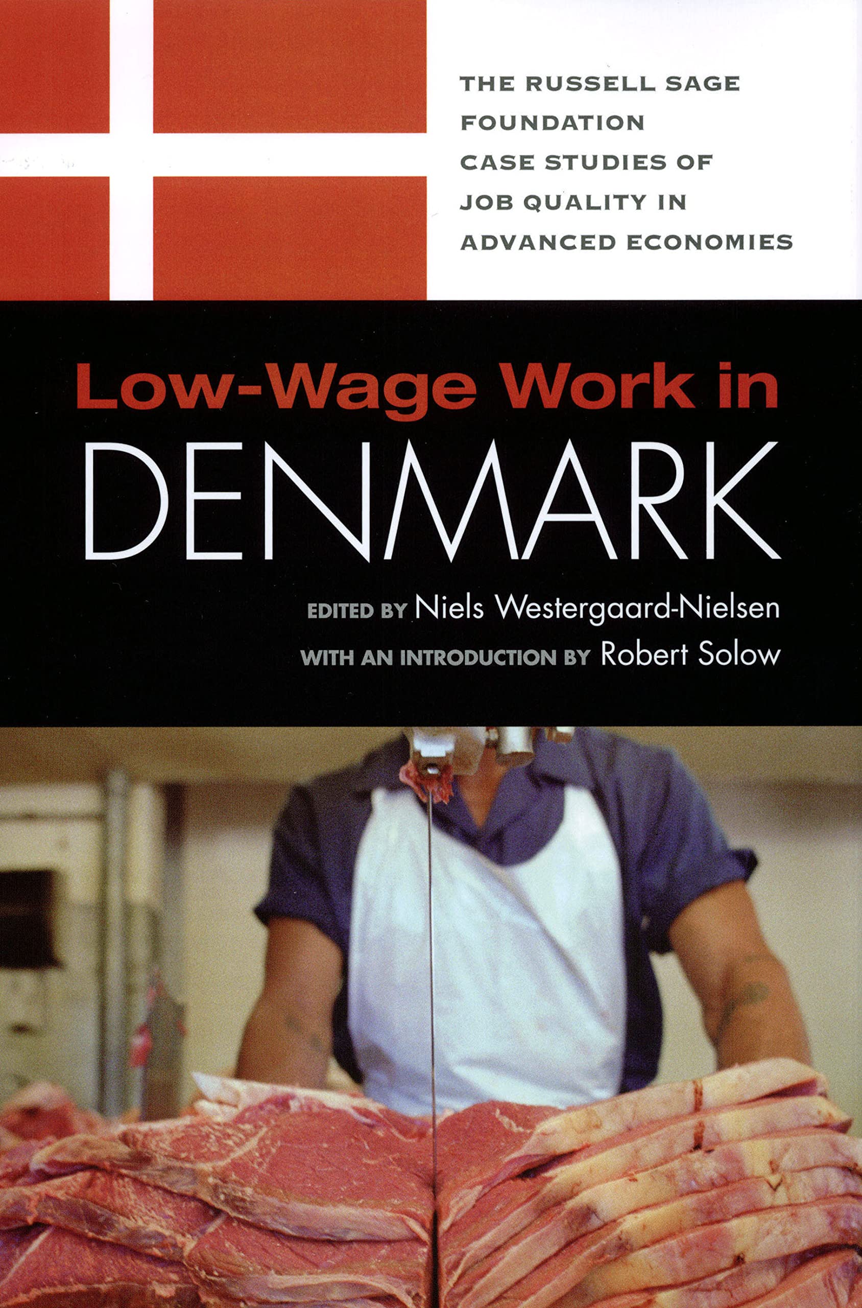 Lowwage Work In Denmark (Rsf'S Project On Lowwage Work In Europe And The Us),Used