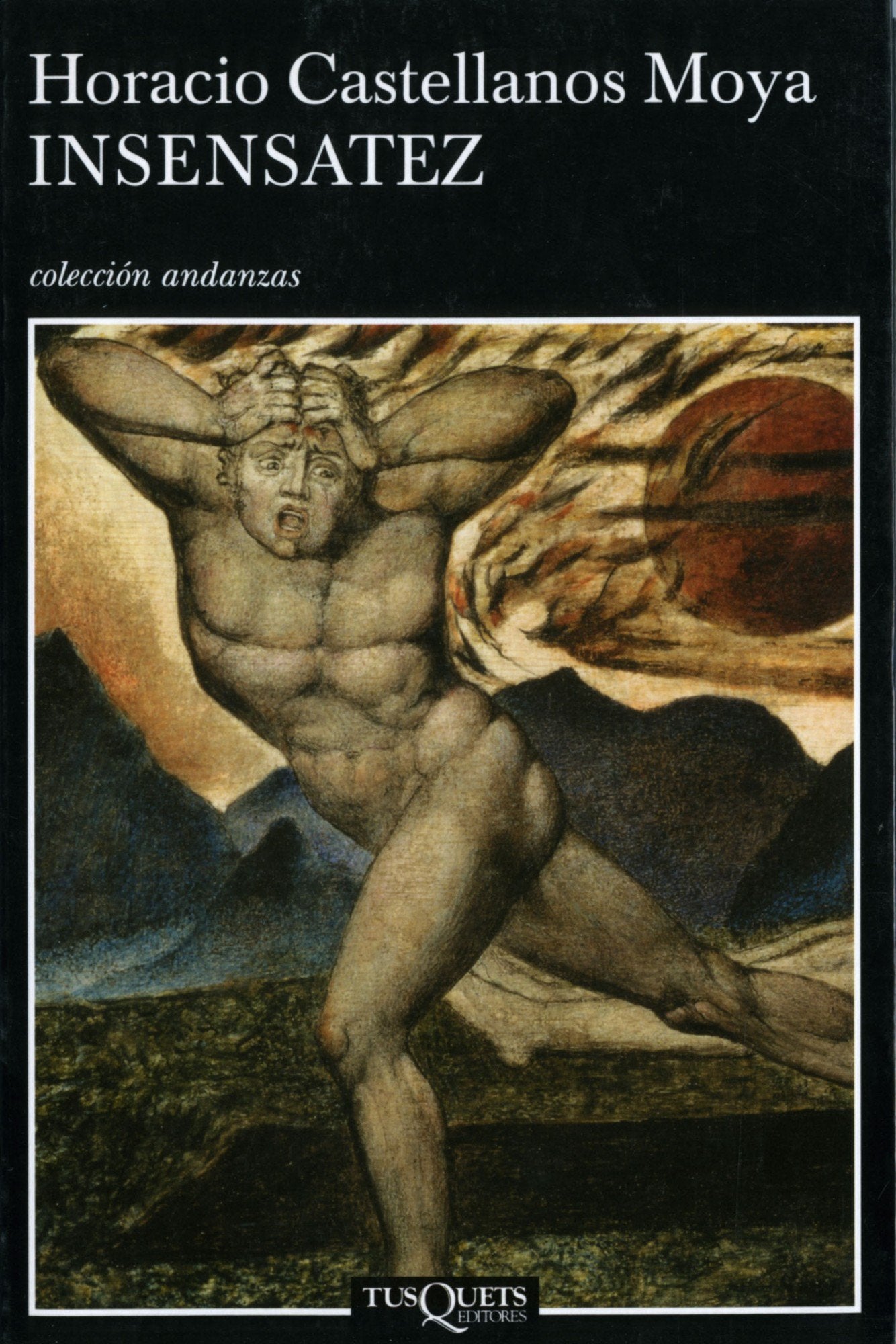 Insensatez (Spanish Edition),Used