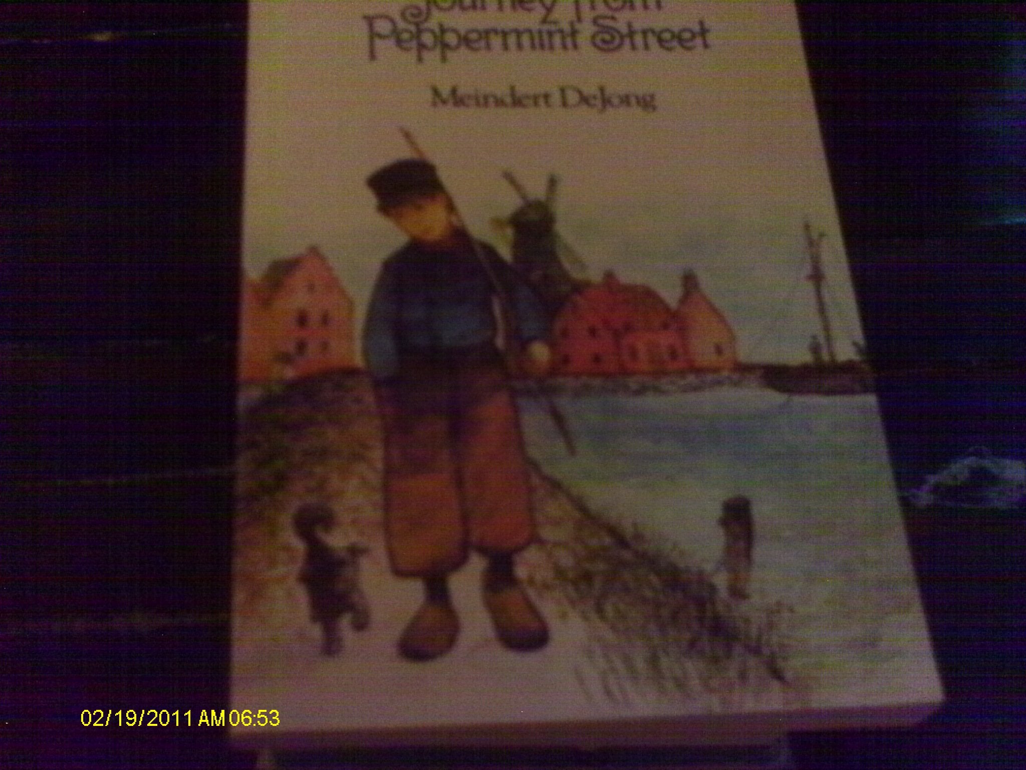 Journey from Peppermint Street,Used