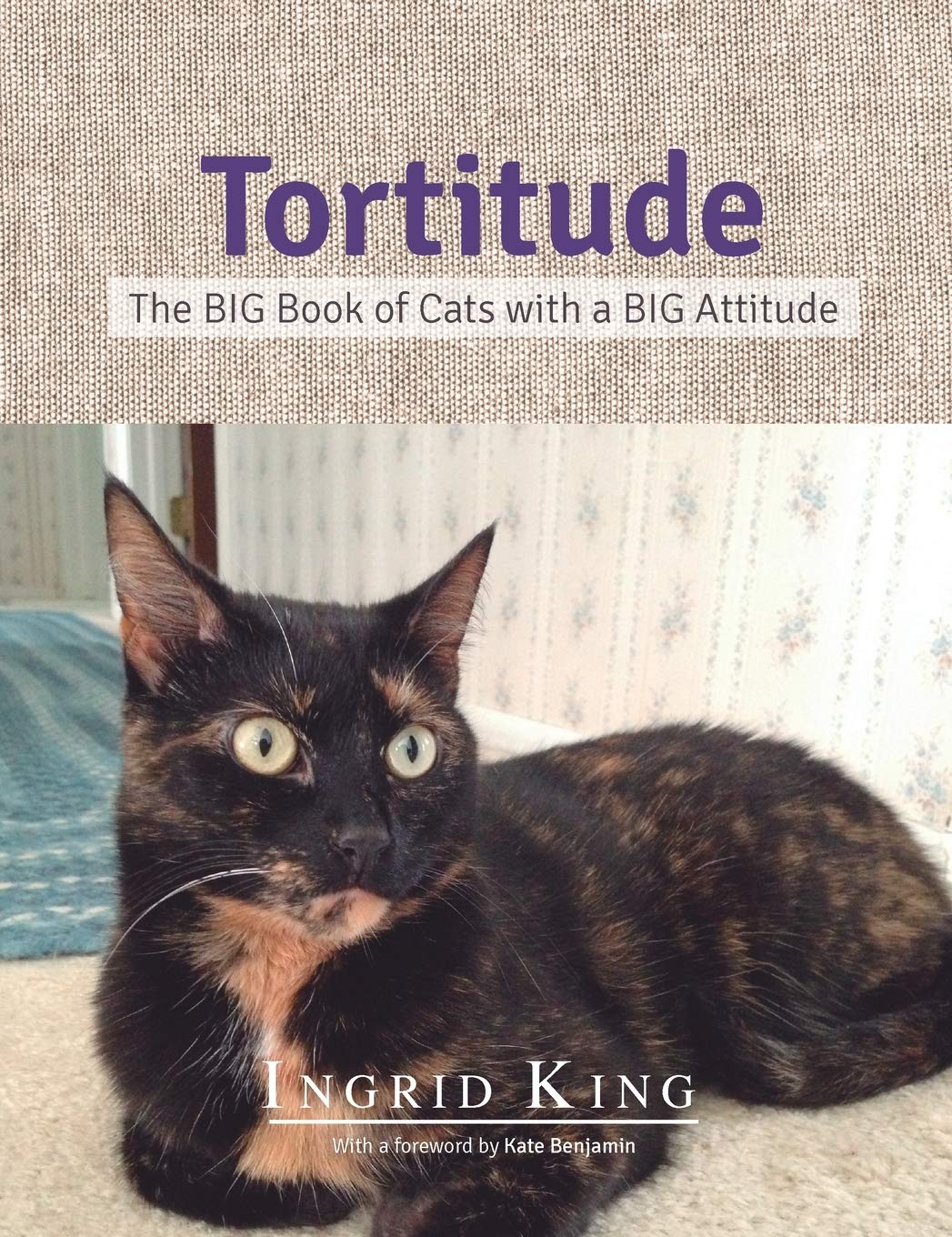 Tortitude: The BIG Book of Cats with a BIG Attitude,Used