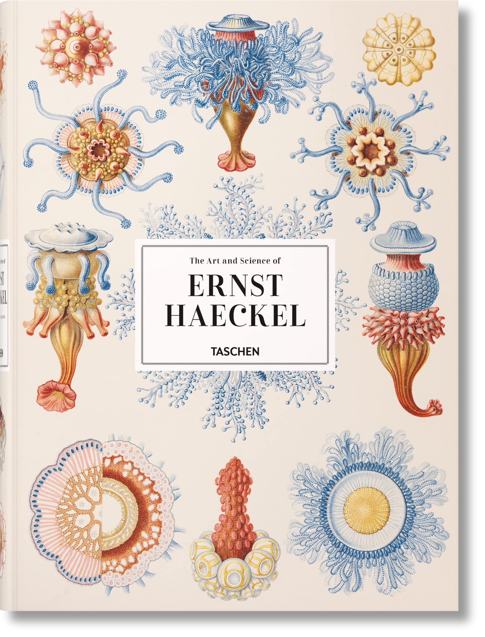 The Art and Science of Ernst Haeckel,Used