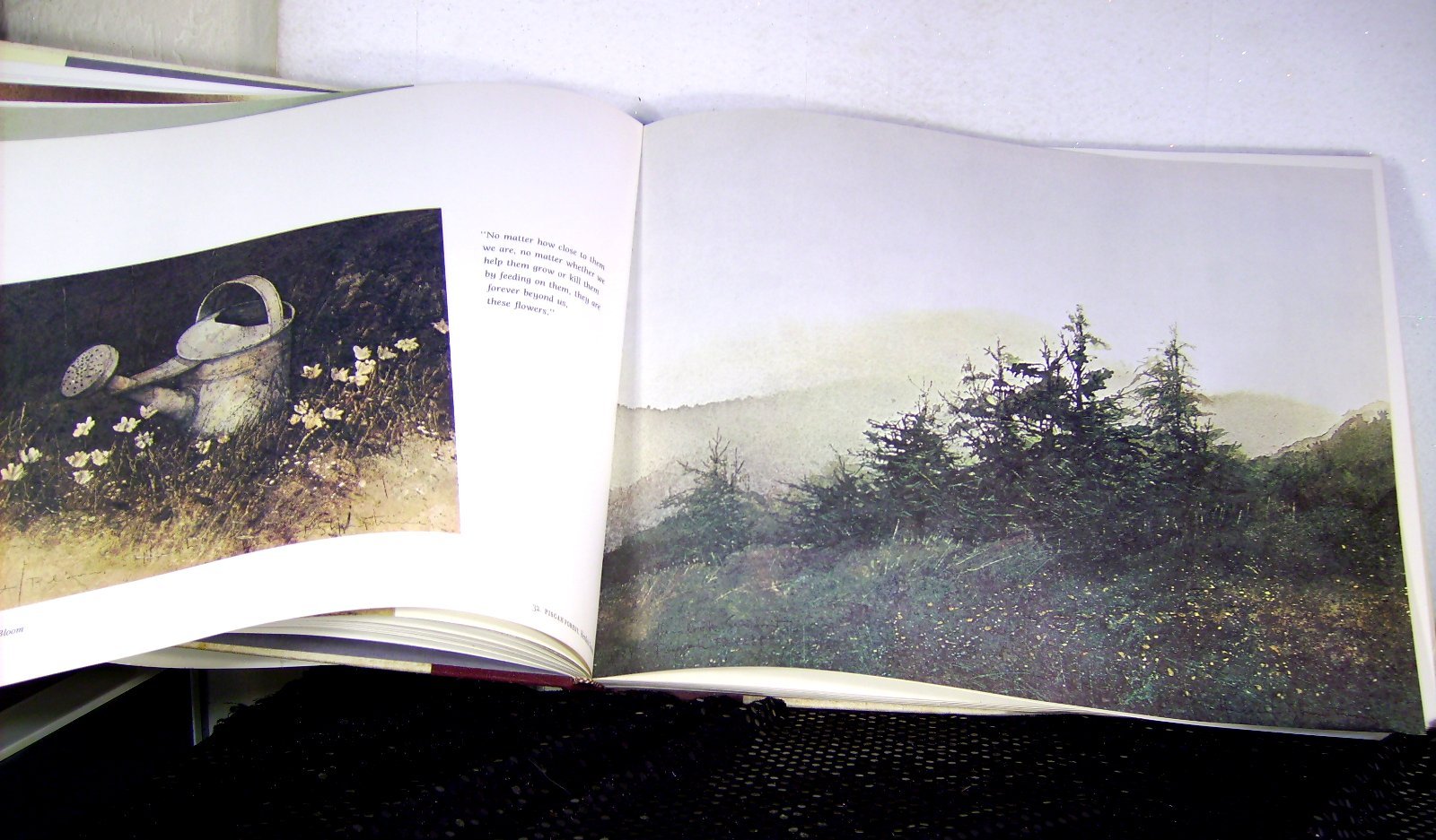 Jericho: The South Beheld,New