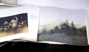 Jericho: The South Beheld,New