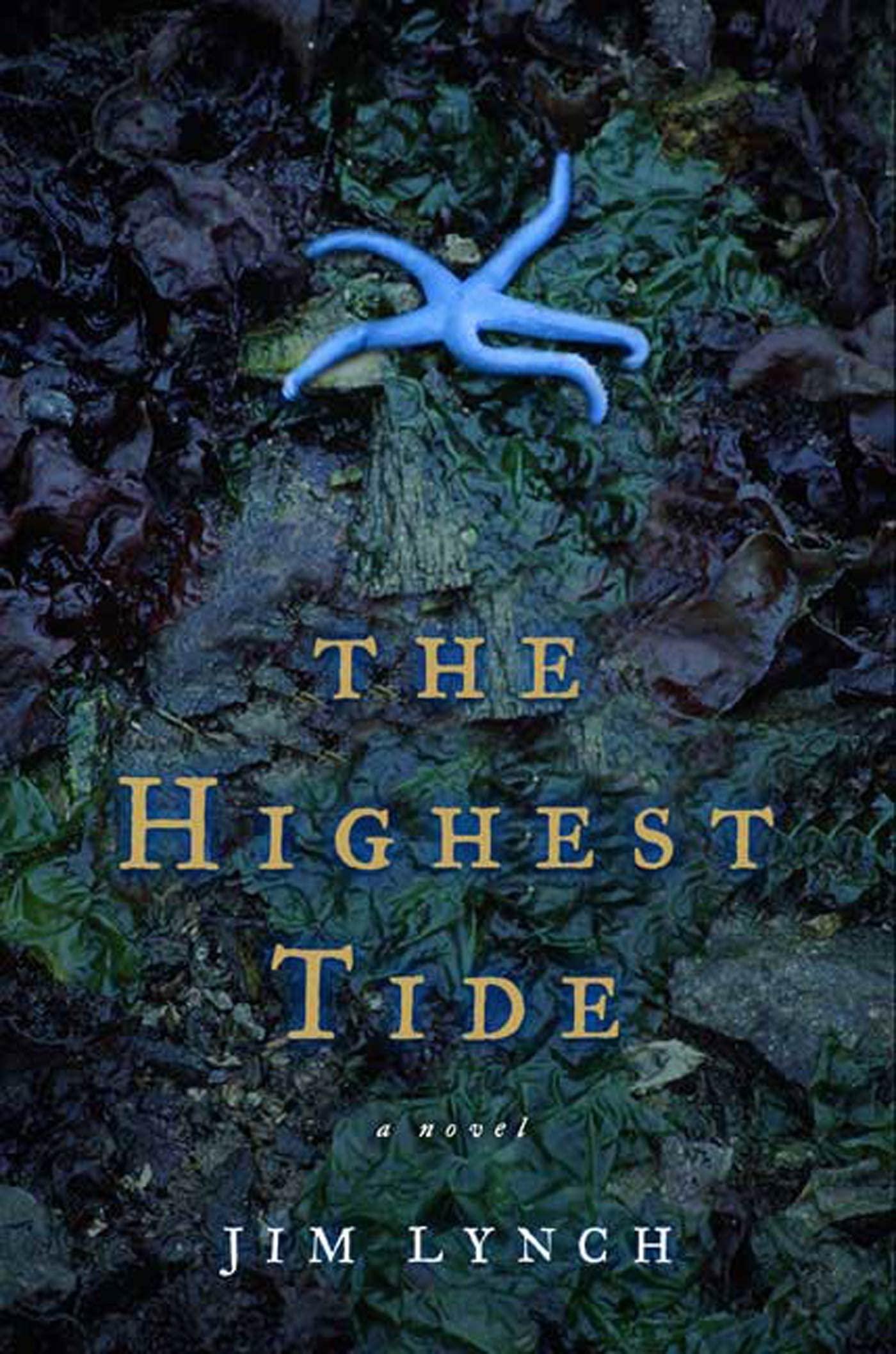 The Highest Tide: A Novel,Used