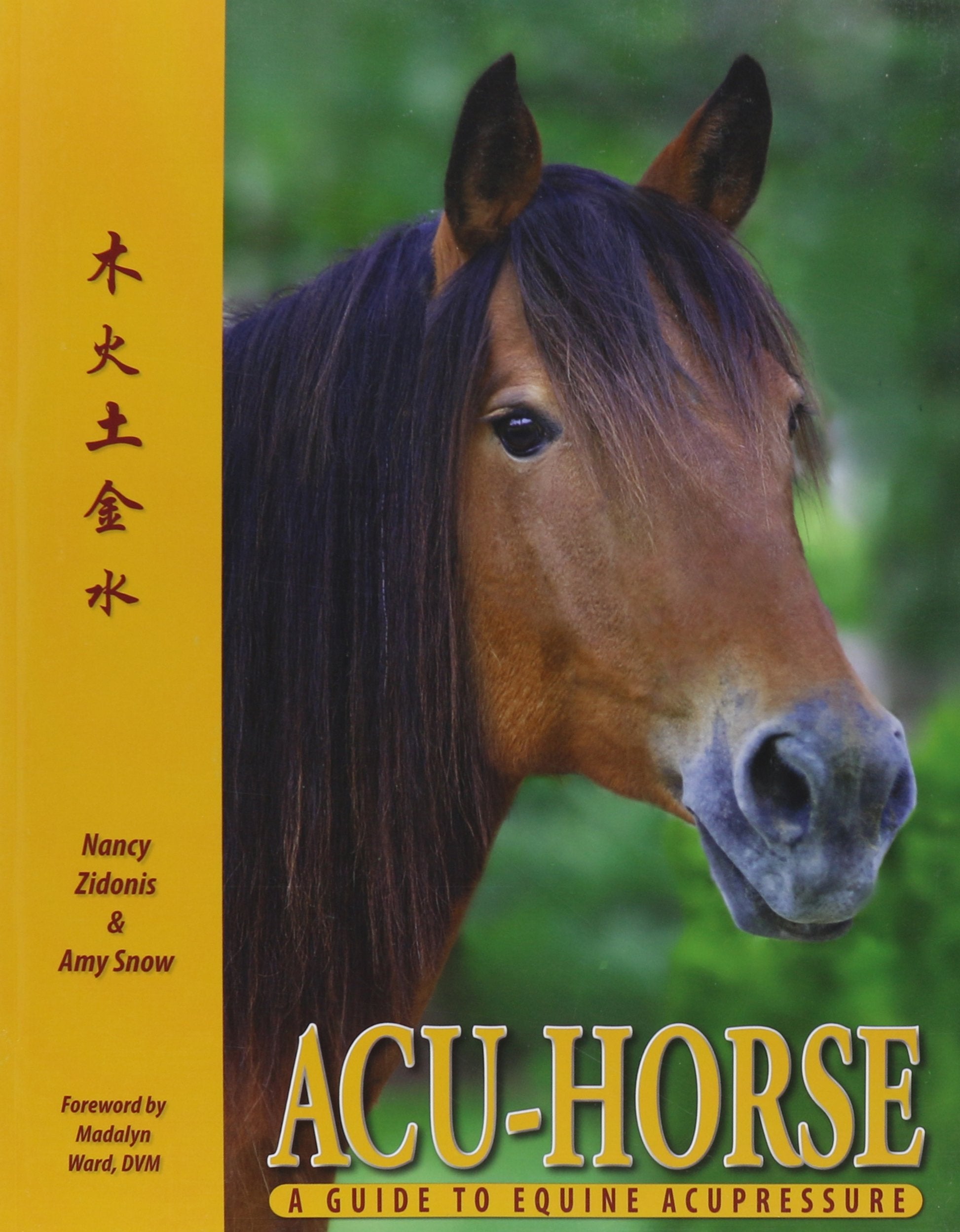 Acuhorse: A Guide To Equine Acupressure