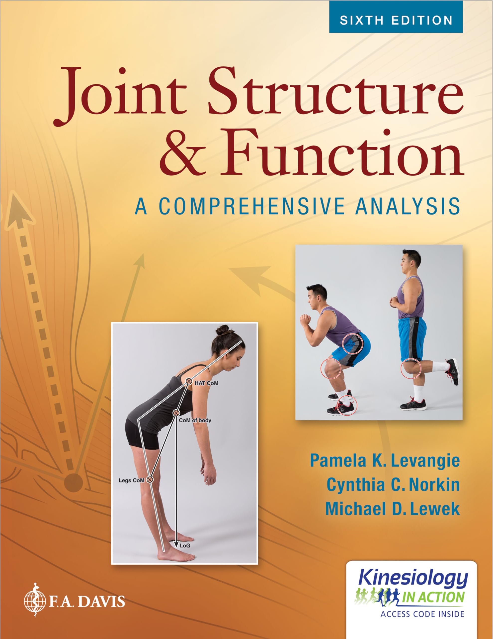 Joint Structure and Function: A Comprehensive Analysis,Used