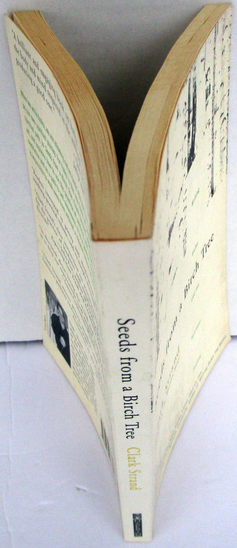 Seeds From A Birch Tree: Writing Haiku And The Spiritual Journey,Used