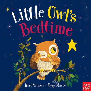 Little Owl'S Bedtime