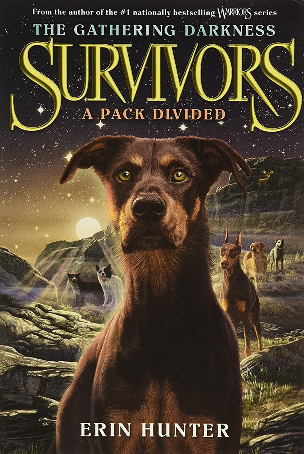 Survivors: The Gathering Darkness #1: A Pack Divided-used