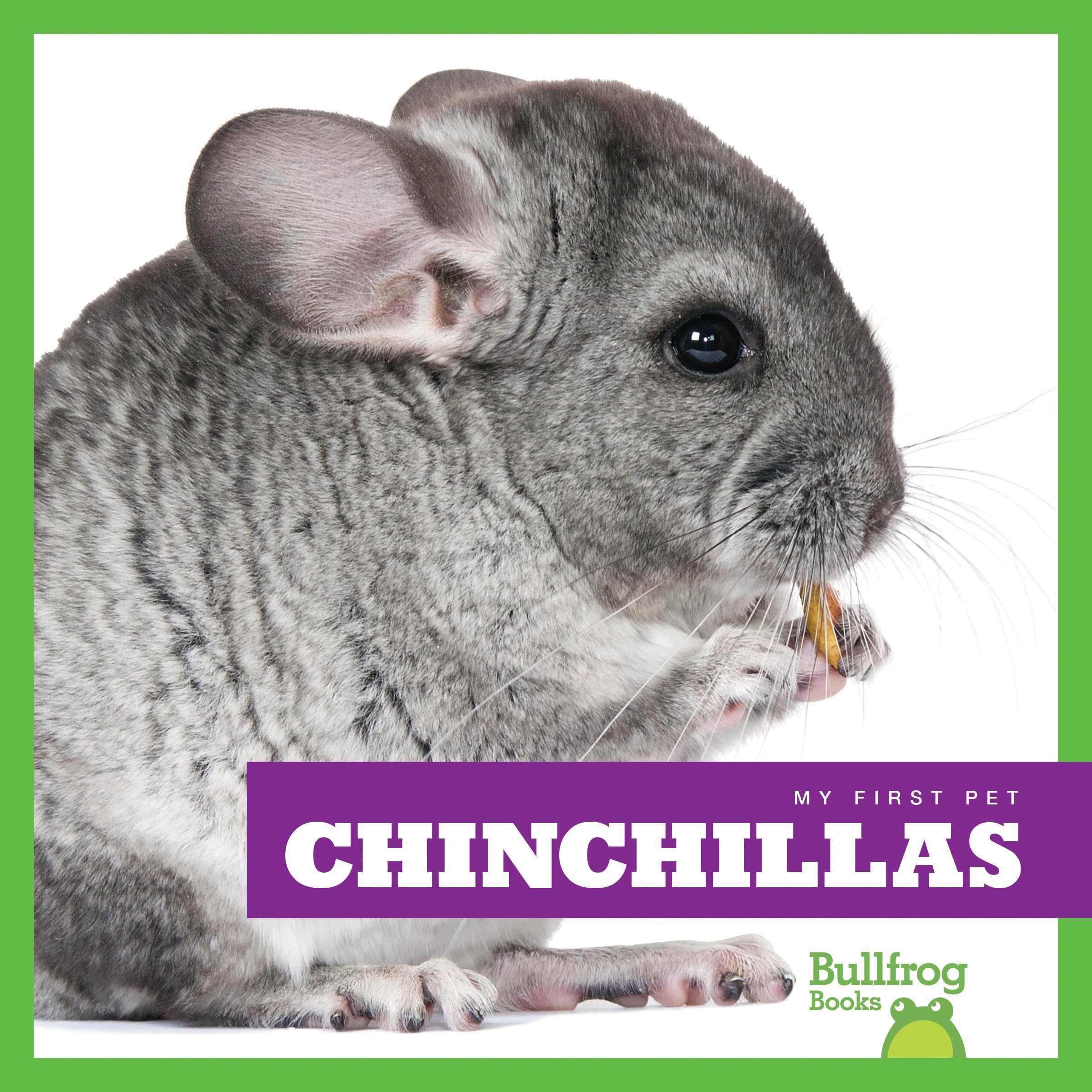 Chinchillas (Bullfrog Books: My First Pet),Used