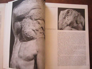 The Complete Works of Michelangelo,Used