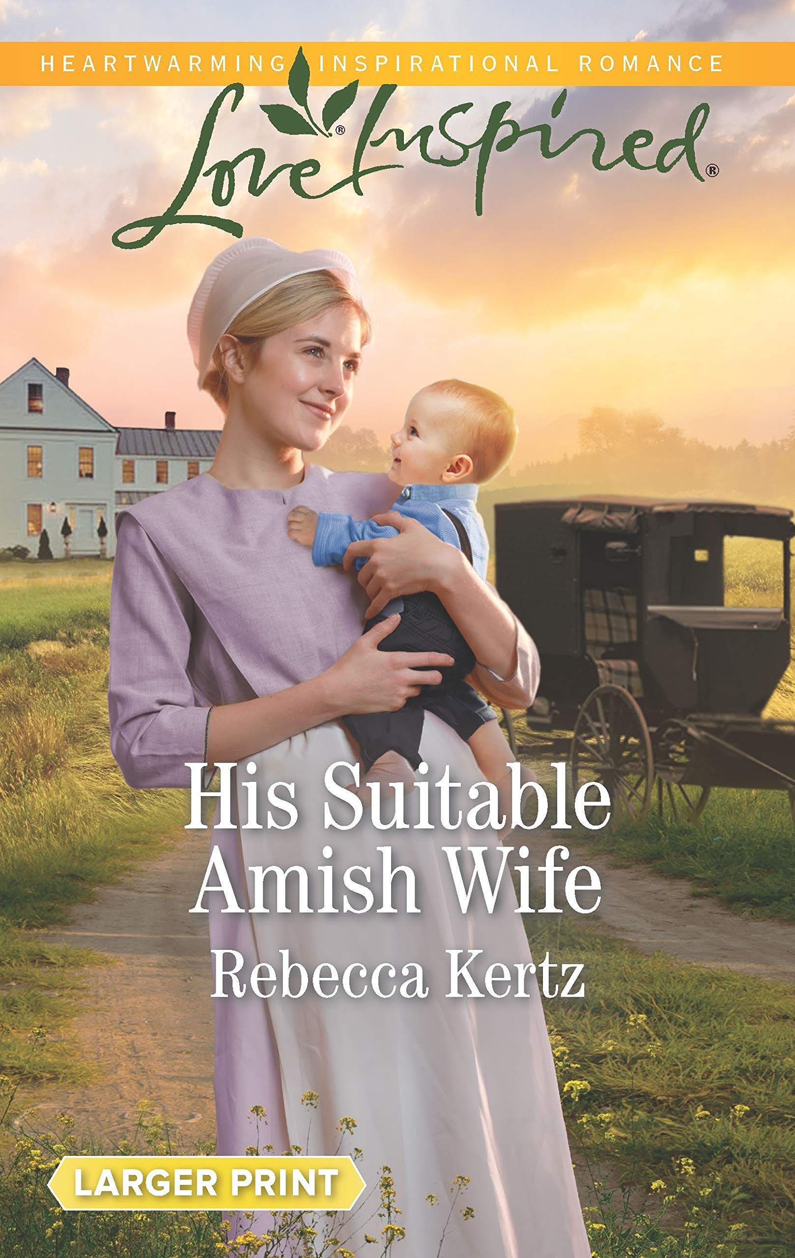 His Suitable Amish Wife (Women of Lancaster County, 5),Used