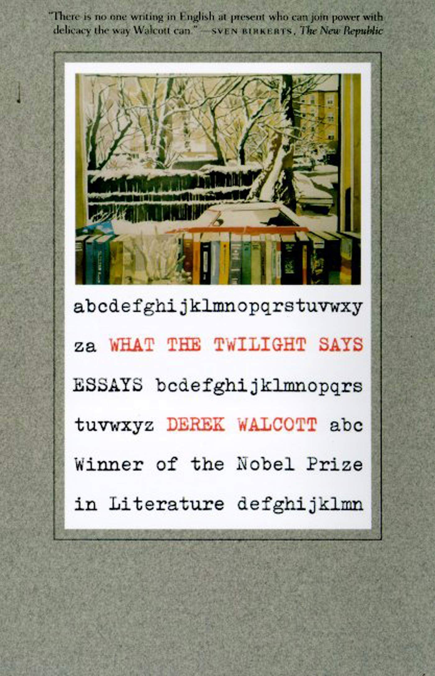What the Twilight Says: Essays,Used