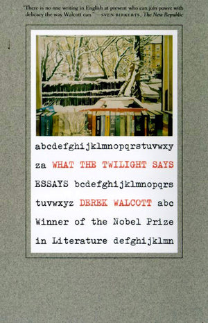 What the Twilight Says: Essays,Used