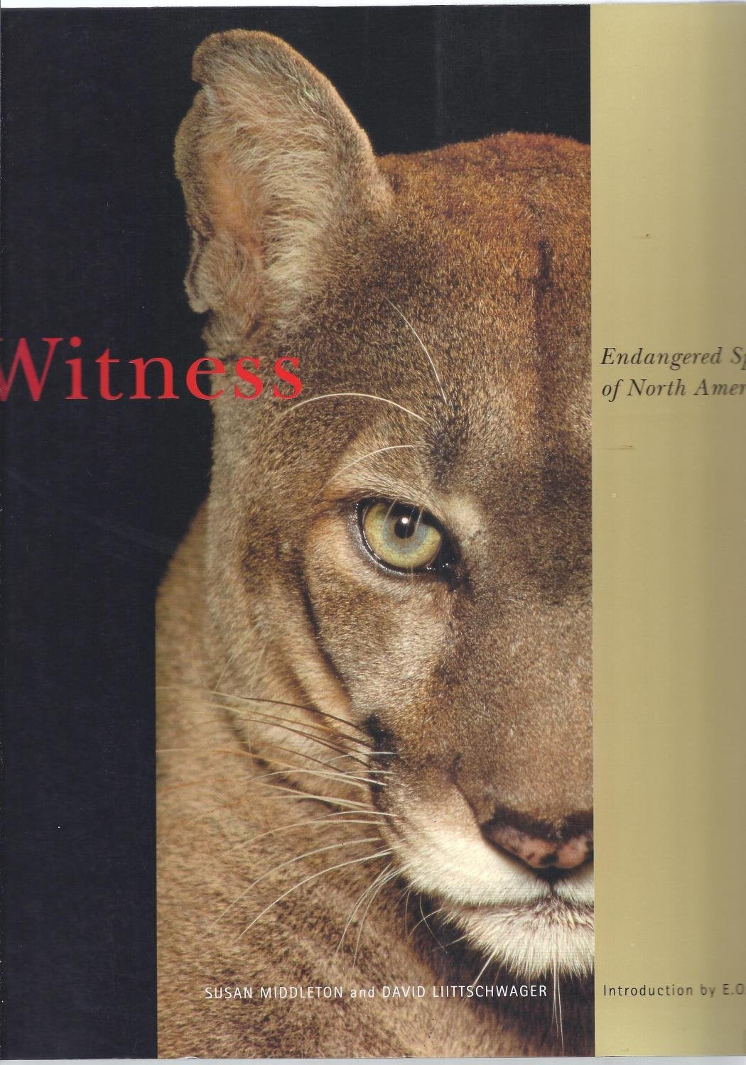 Witness: Endangered Species Of North America