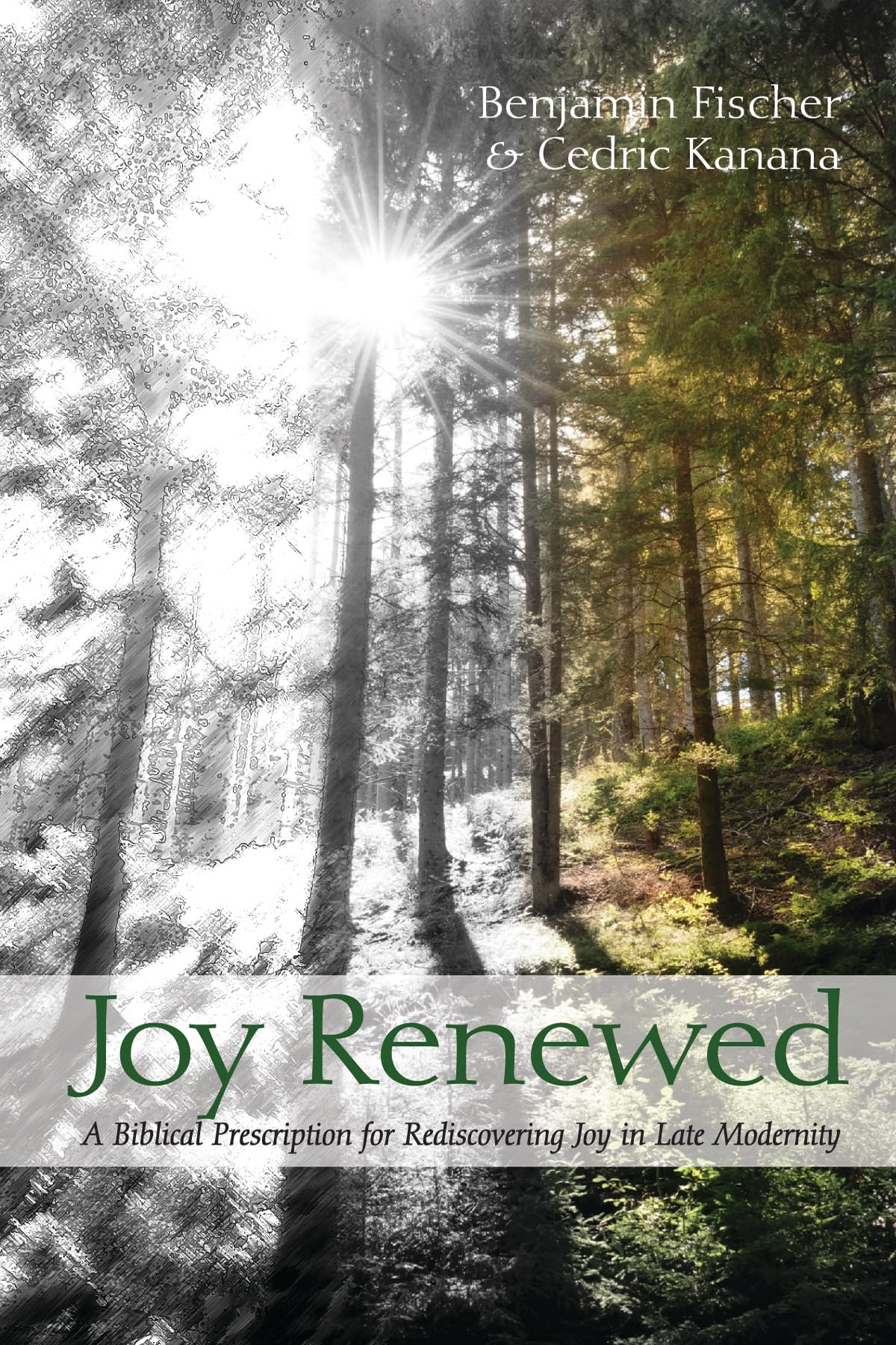 Joy Renewed: A Biblical Prescription for Rediscovering Joy in Late Modernity,Used