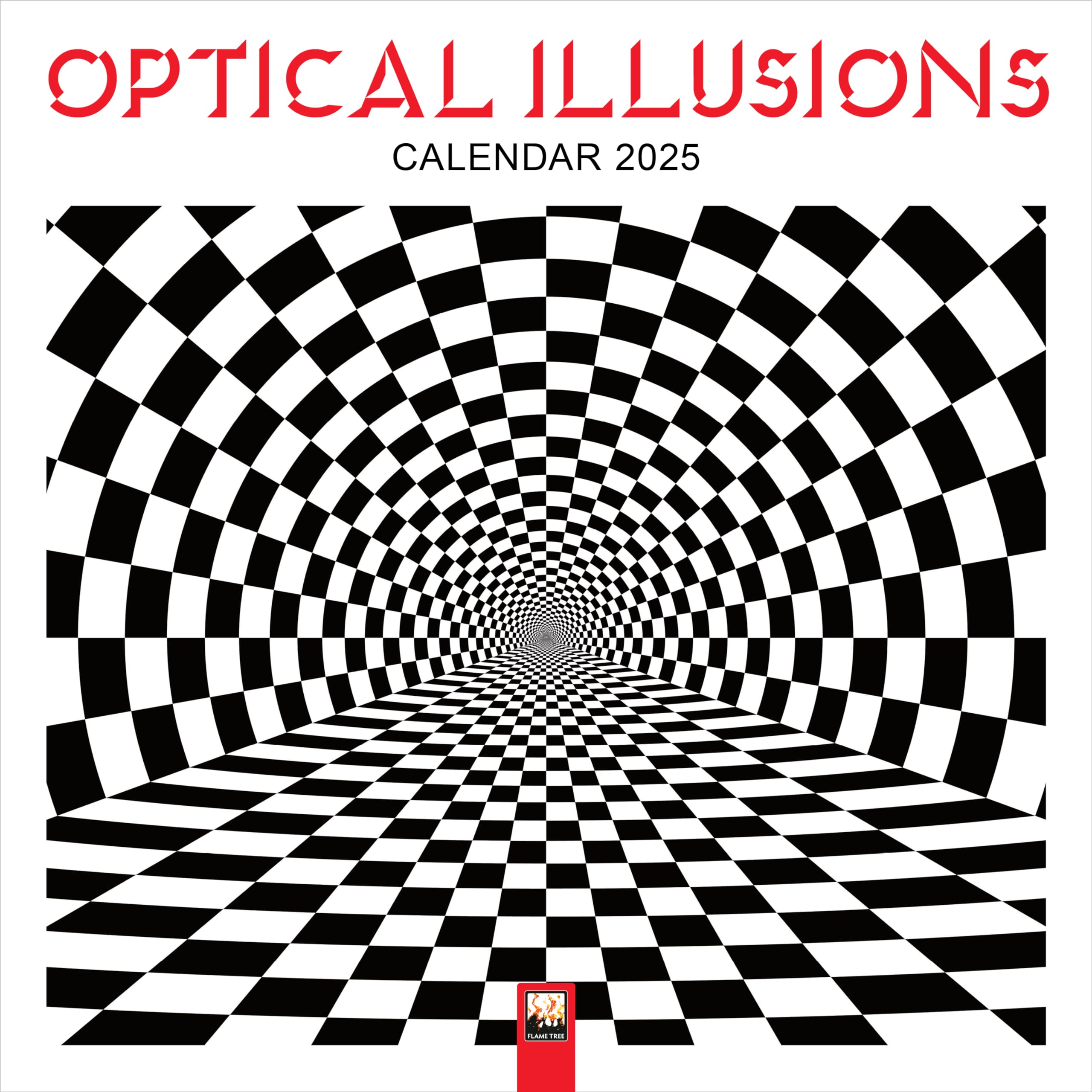 Optical Illusions Wall Calendar 2025 (Art Calendar),New