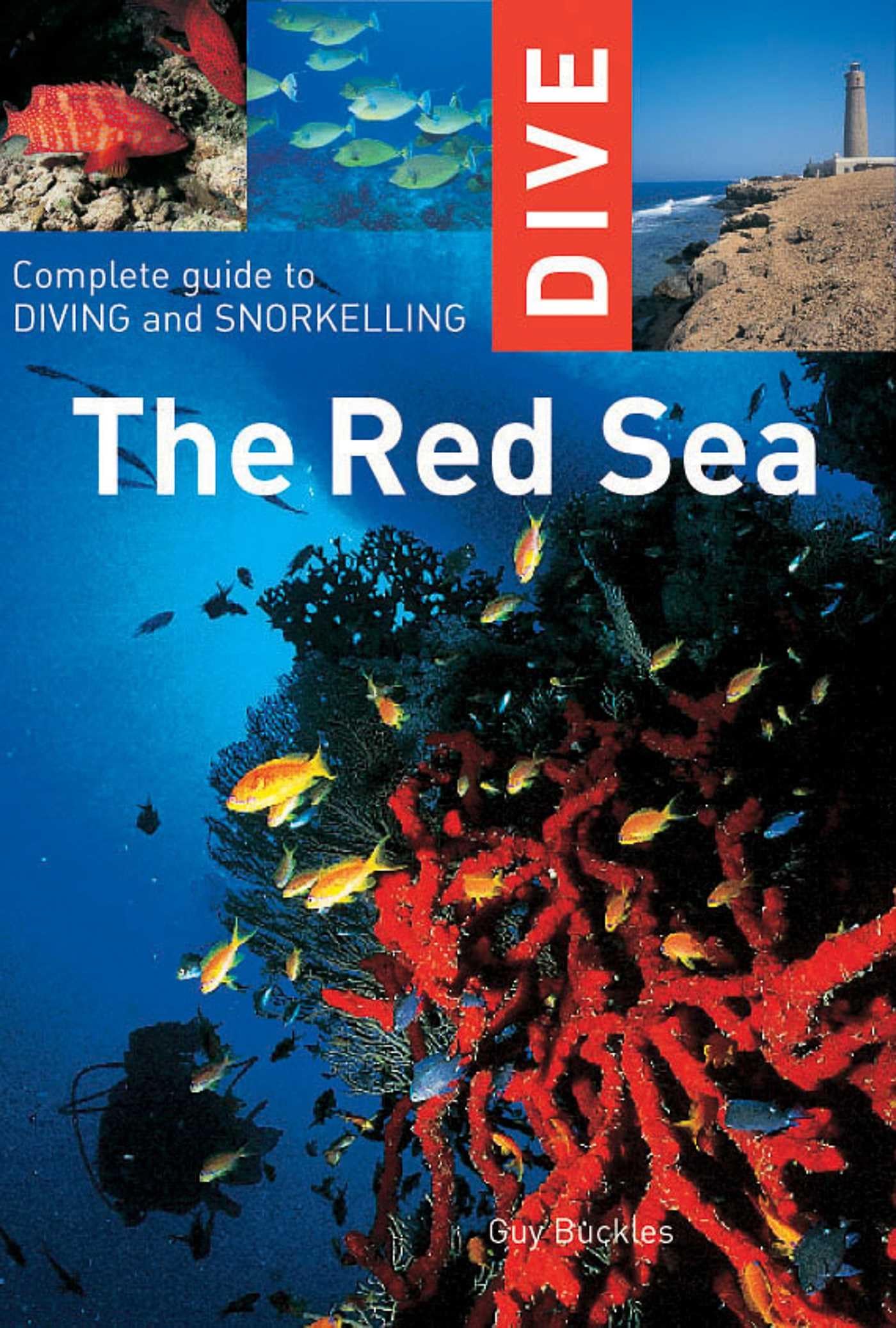 Dive The Red Sea: Complete Guide To Diving And Snorkeling (Interlink Dive Guides),Used