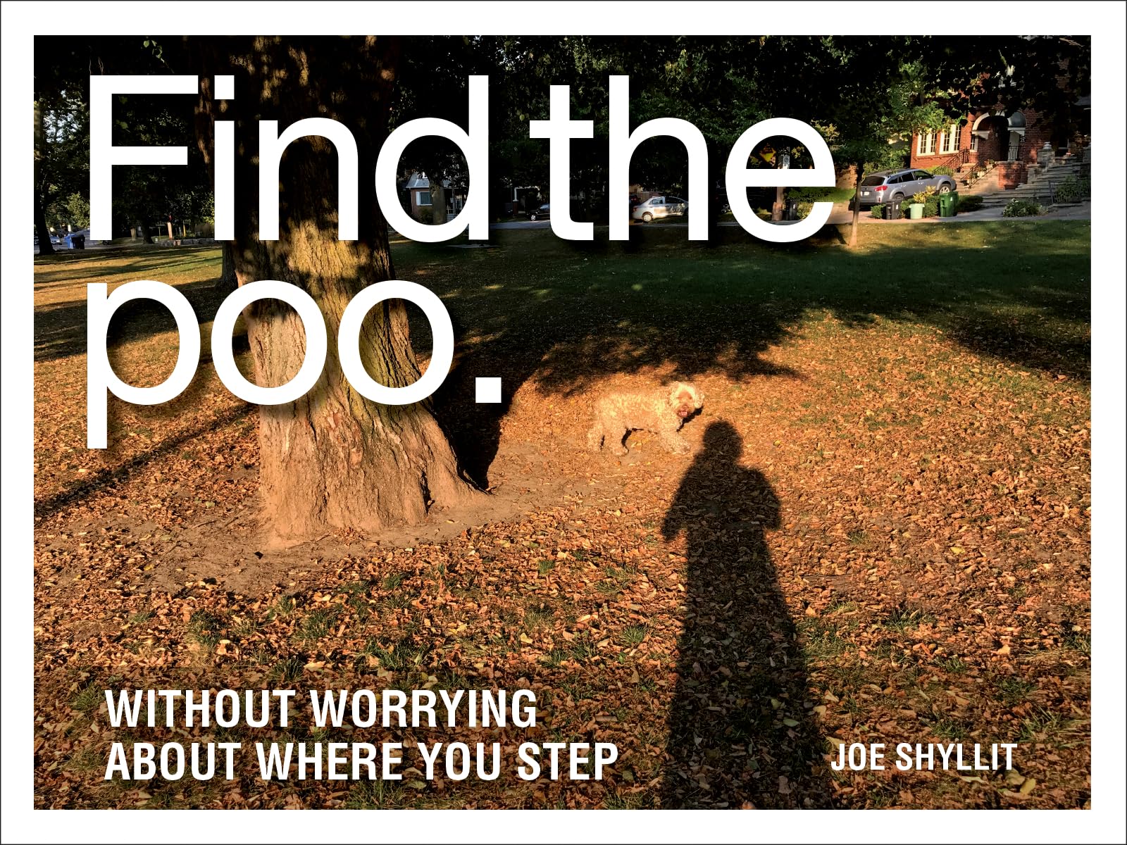 Find the Poo: Without Worrying About Where You Step,Used