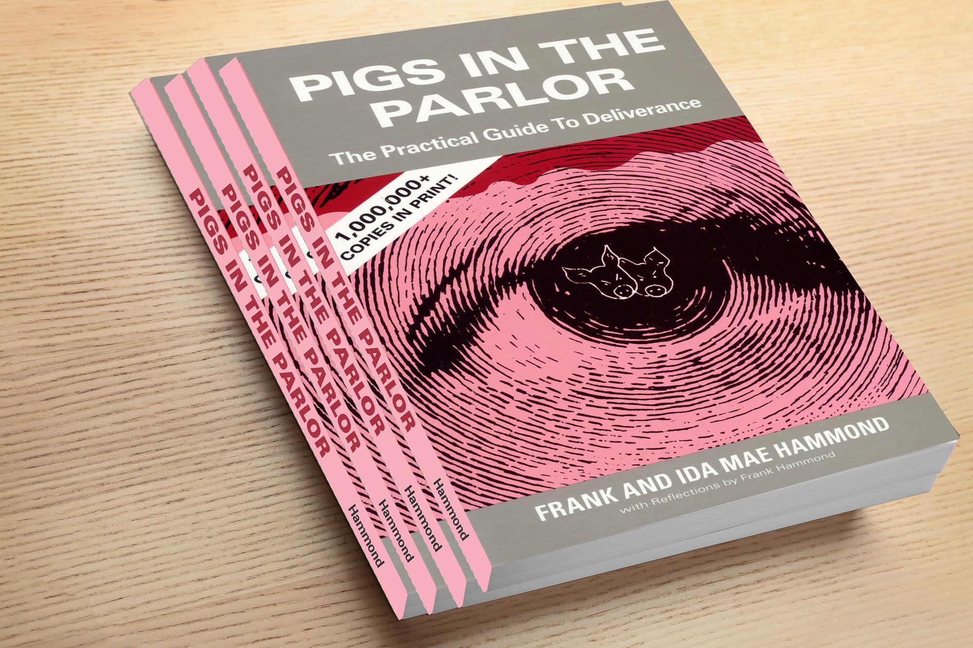 Pigs in the Parlor: A Practical Guide to Deliverance,Used