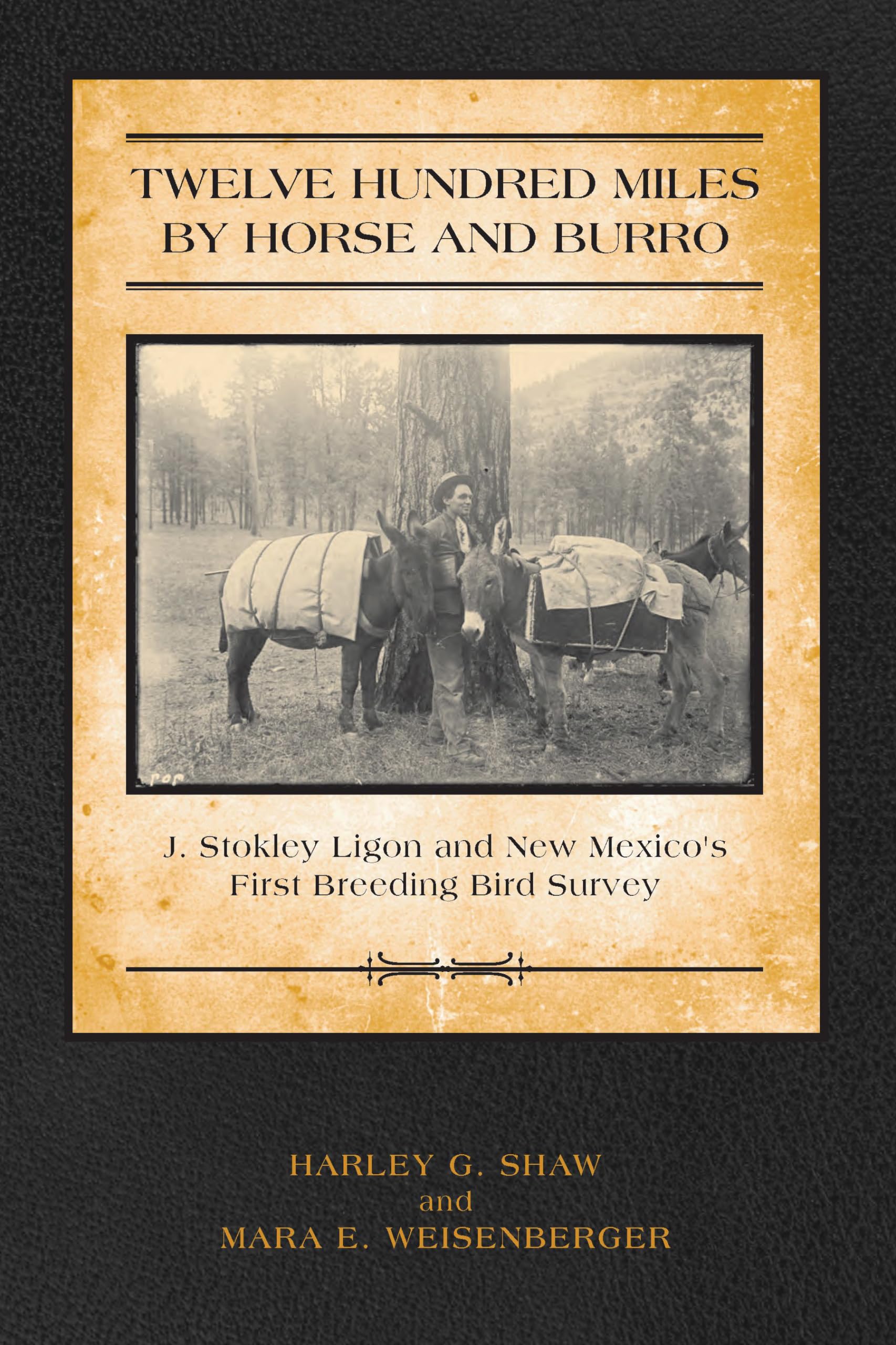 Twelve Hundred Miles By Horse And Burro: J. Stokley Ligon And New Mexicos First Breeding Bird Survey,Used