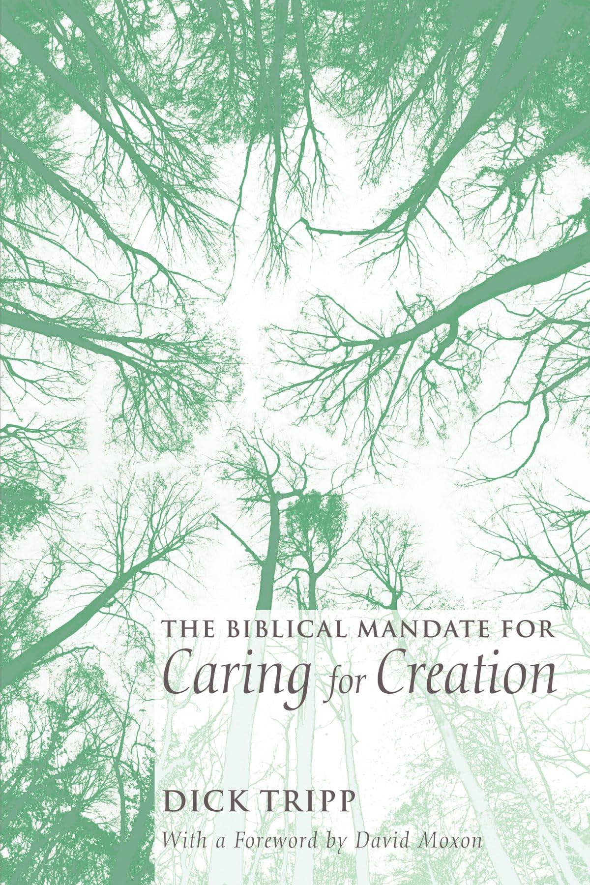 The Biblical Mandate For Caring For Creation (Exploring Faith Today),Used
