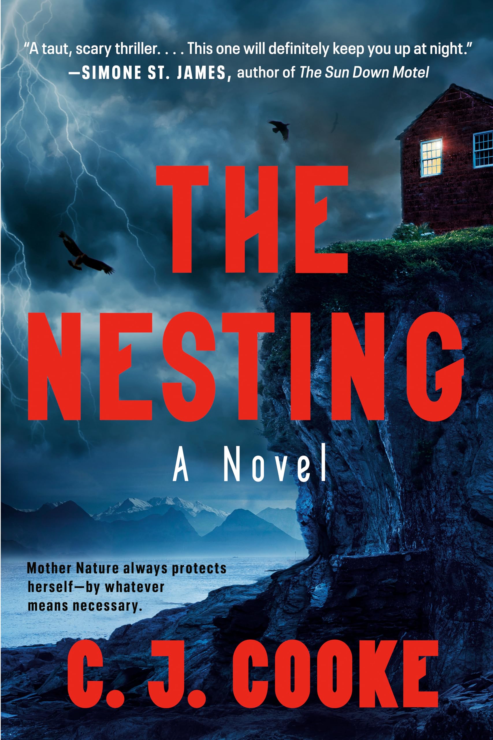 The Nesting,Used