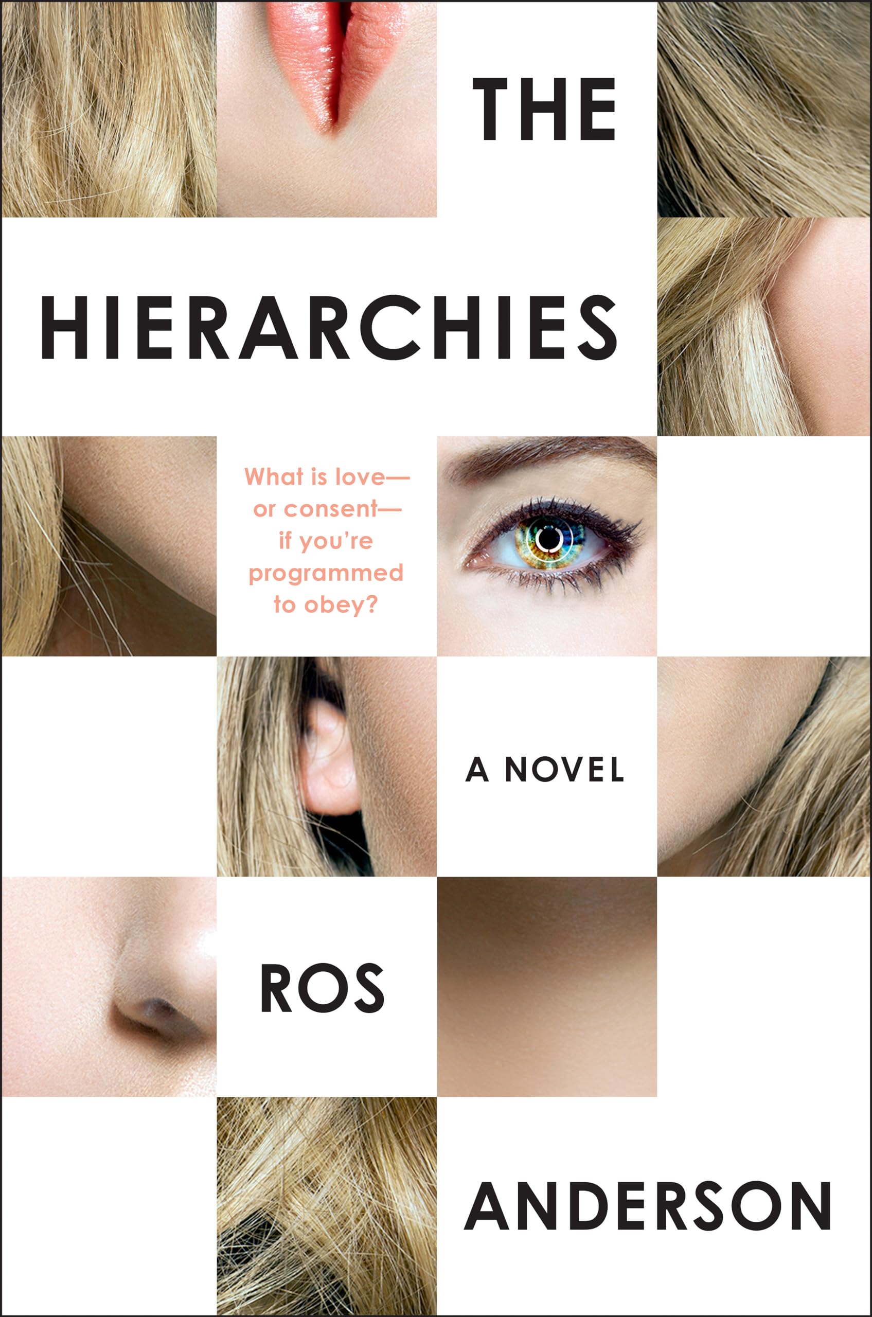 The Hierarchies: A Novel,Used