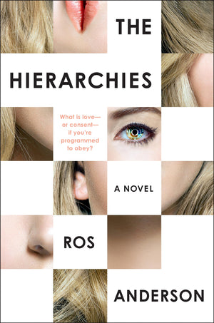 The Hierarchies: A Novel,Used