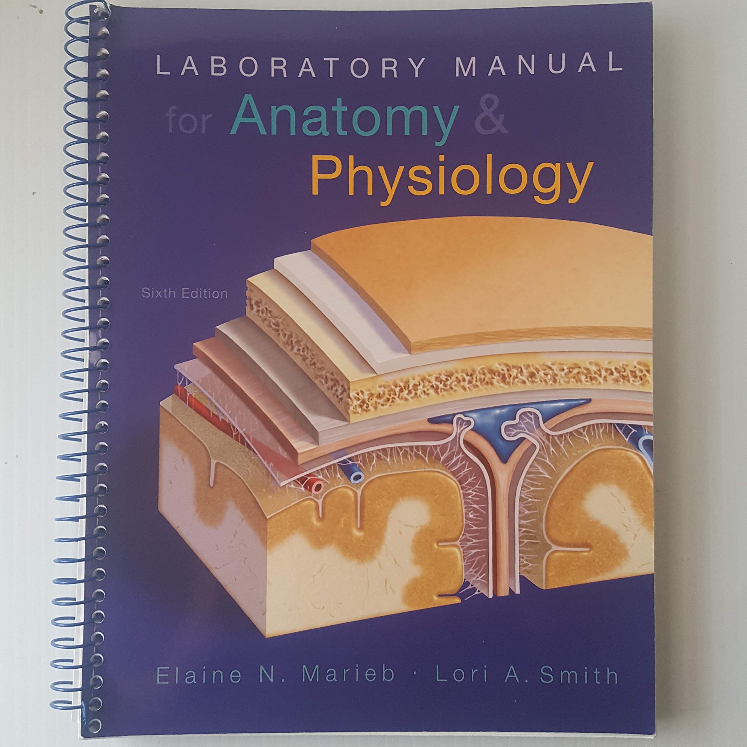 Laboratory Manual for Anatomy & Physiology (6th Edition),Used