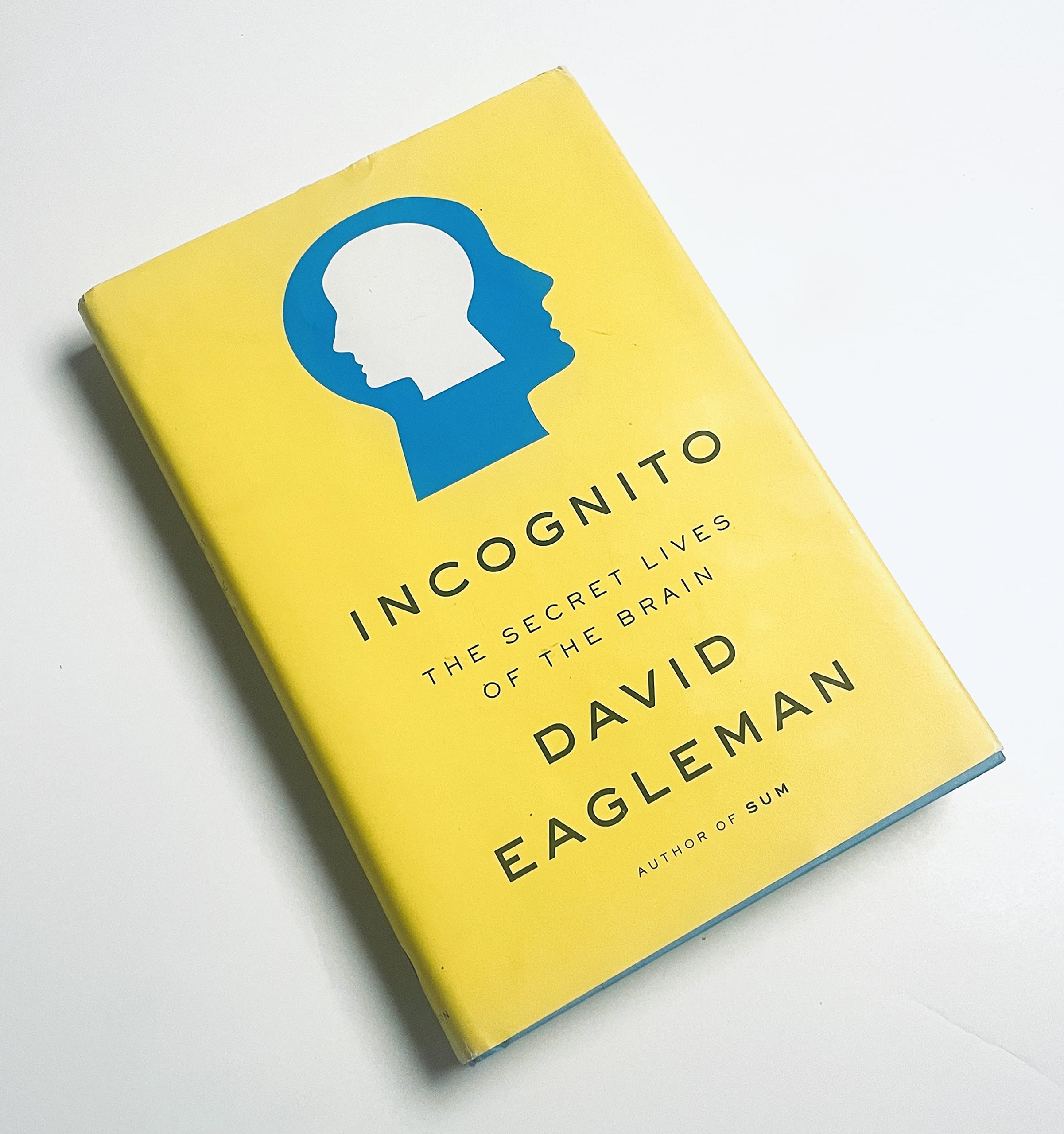 Incognito: The Secret Lives Of The Brain