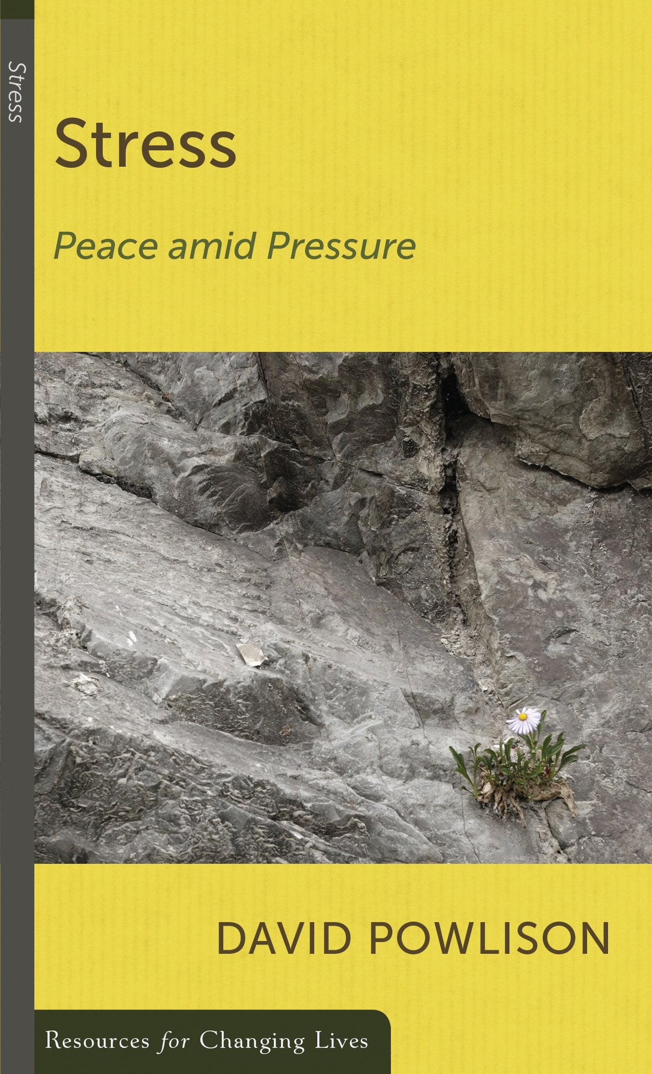 Stress: Peace amid Pressure (RESOURCES FOR CHANGING LIVES),Used
