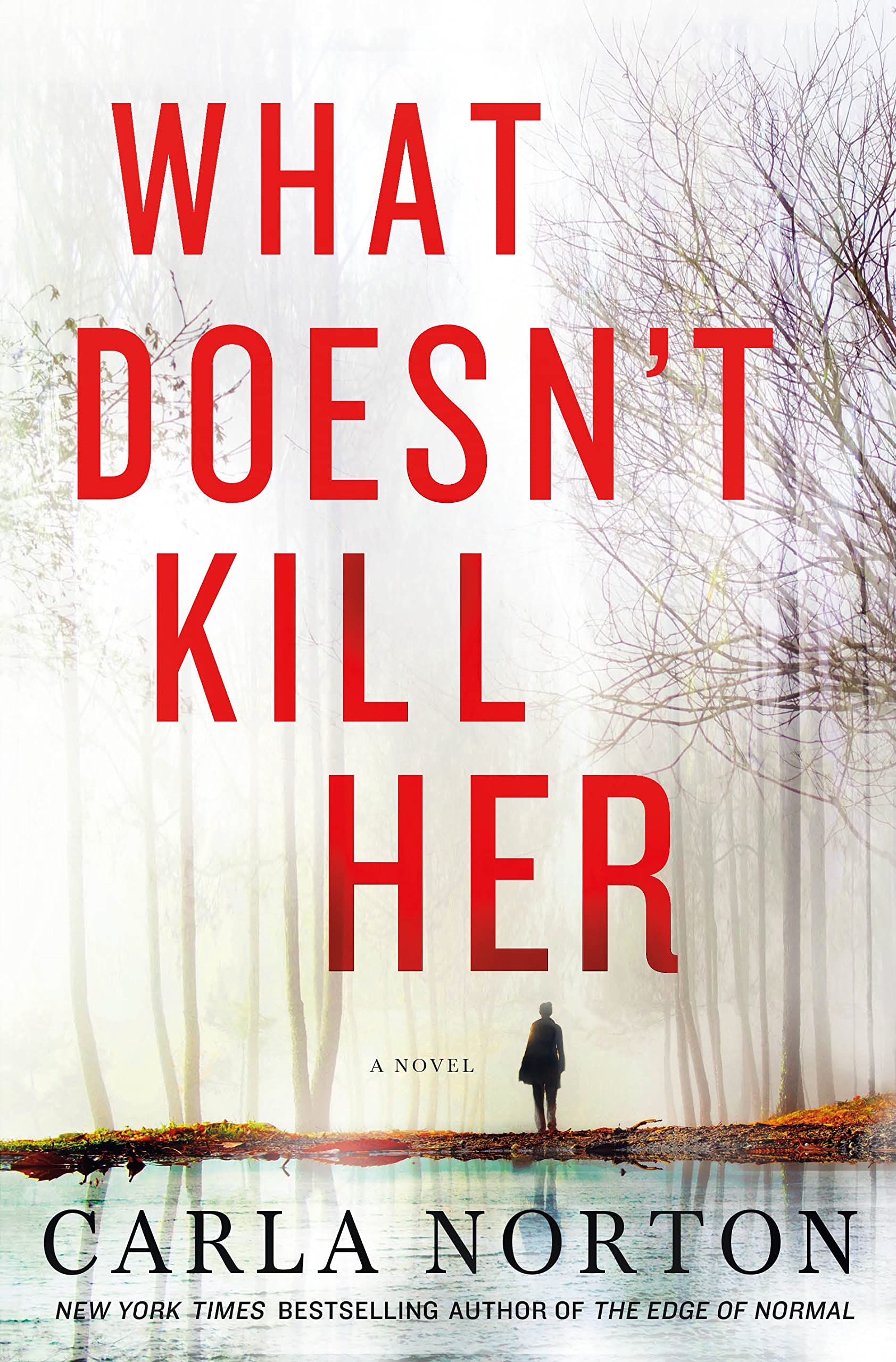 What Doesn't Kill Her: A Novel (Reeve LeClaire Series),Used