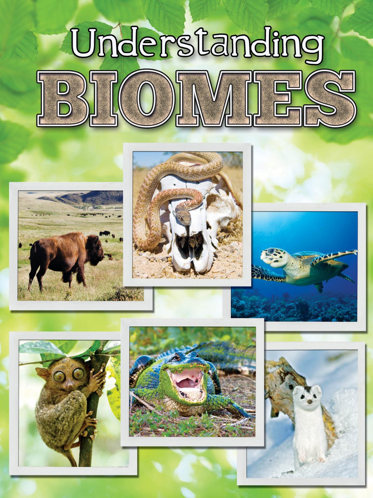 Understanding Biomes (Let's Explore Science),Used