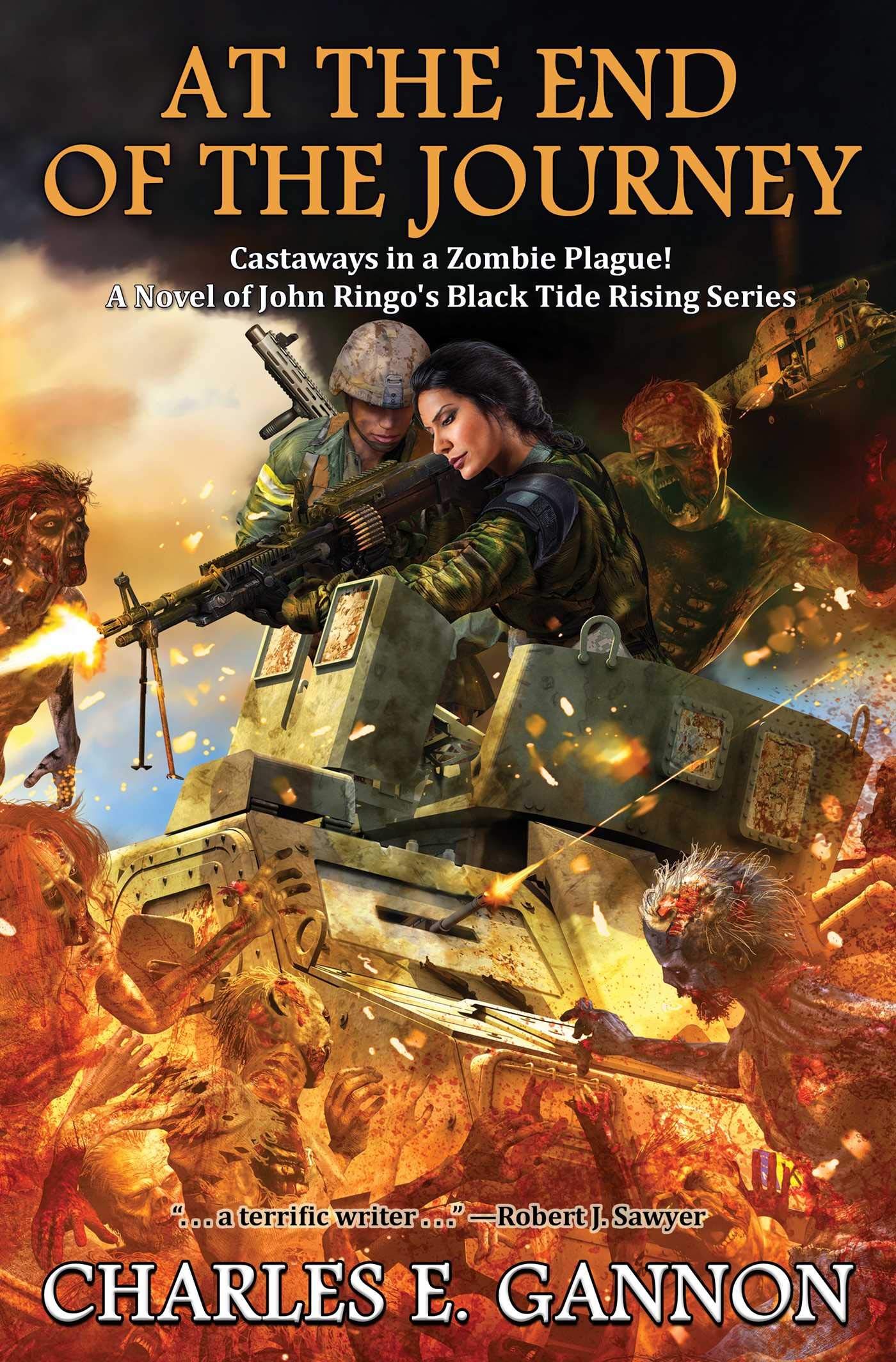 At the End of the Journey (10) (Black Tide Rising),Used