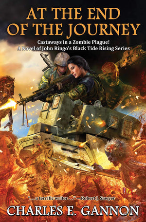 At the End of the Journey (10) (Black Tide Rising),Used