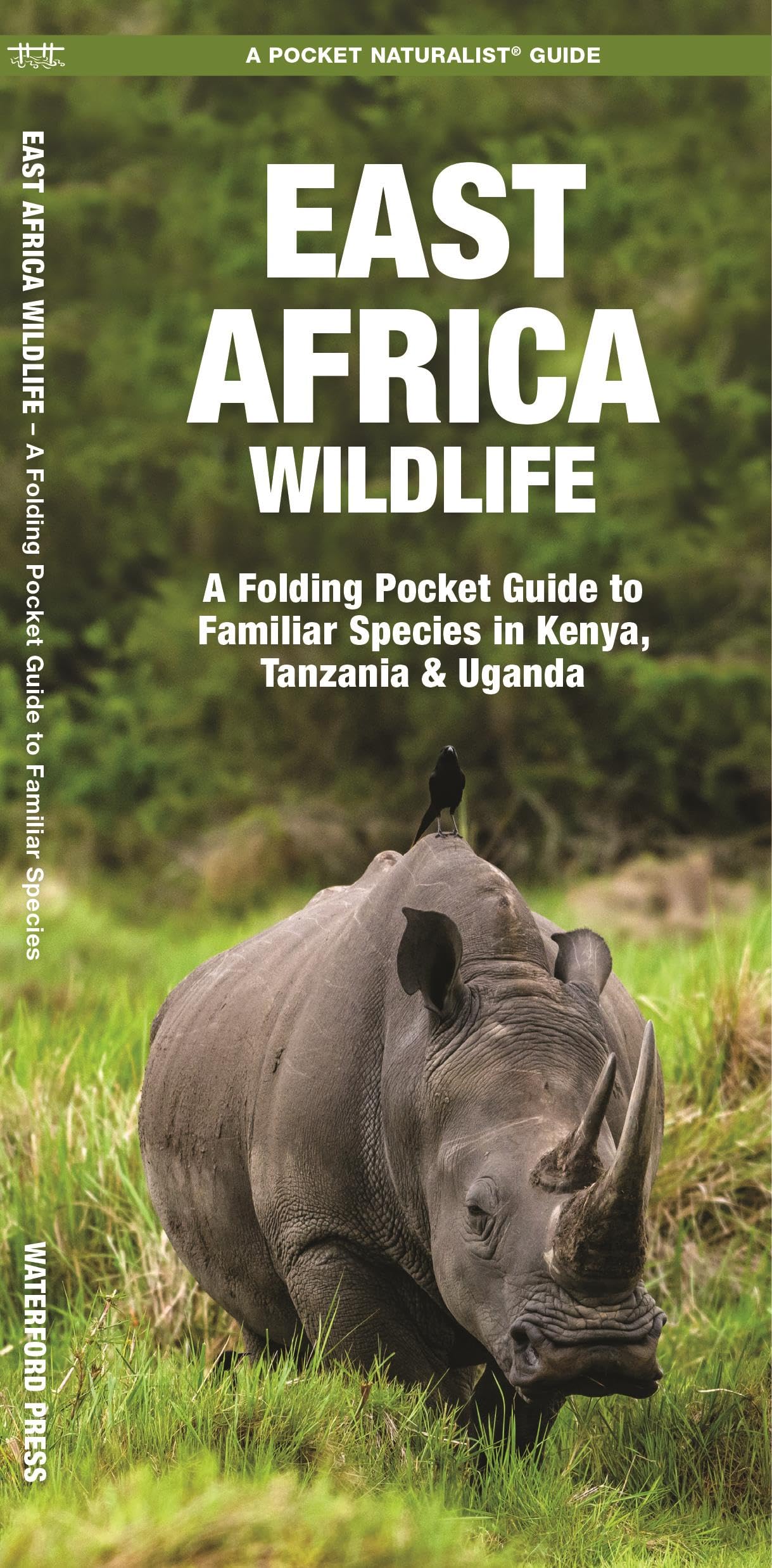 East Africa Wildlife: A Folding Pocket Guide to Familiar Species in Kenya, Tanzania & Uganda (Nature Observation International),New