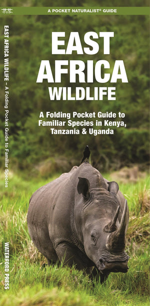 East Africa Wildlife: A Folding Pocket Guide to Familiar Species in Kenya, Tanzania & Uganda (Nature Observation International),New