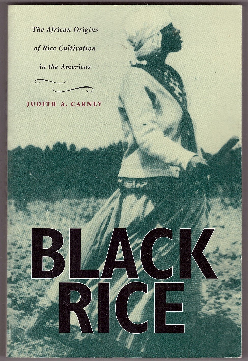 Black Rice: The African Origins of Rice Cultivation in the Americas,Used