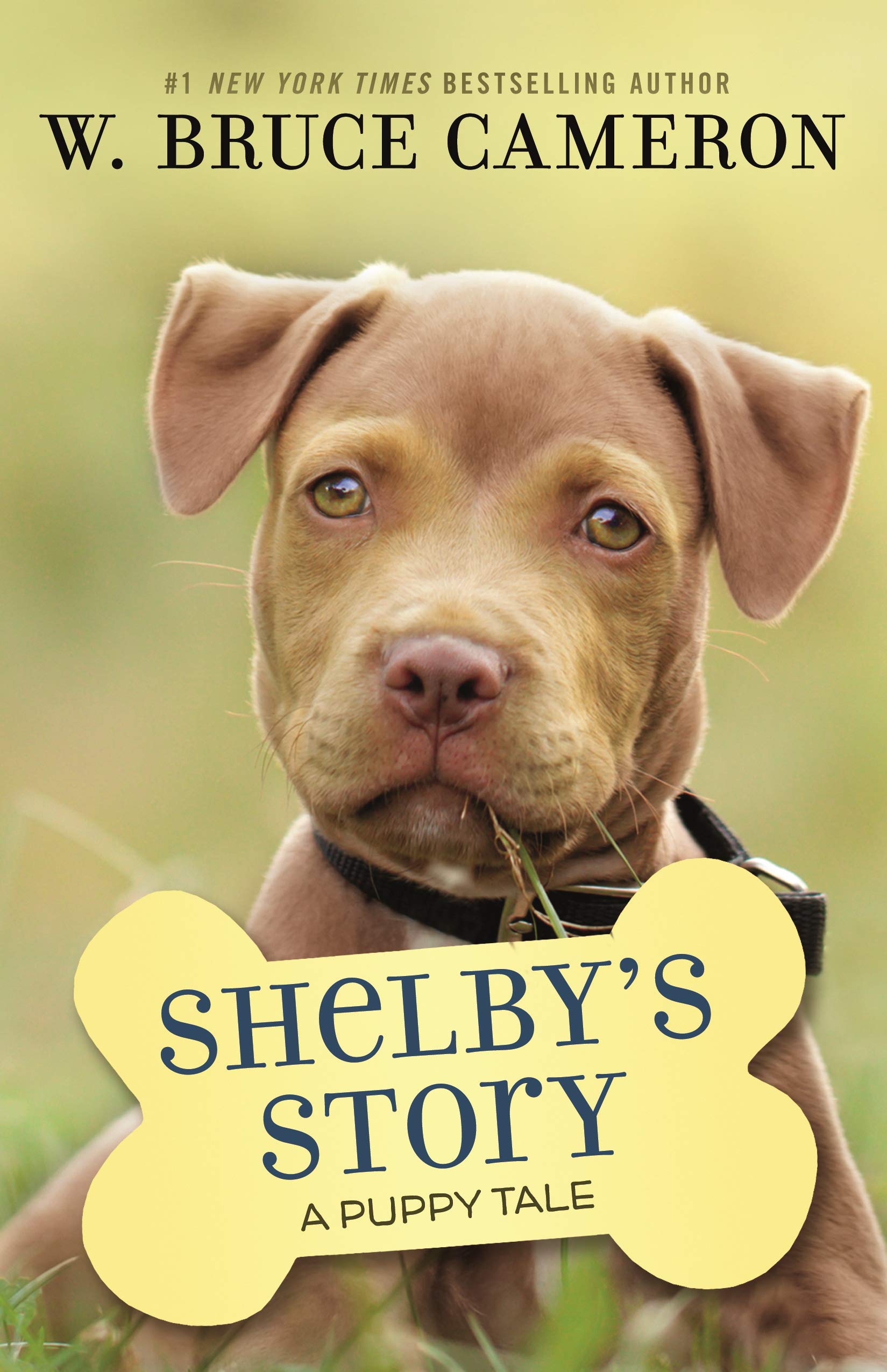 Shelby's Story: A Puppy Tale,New