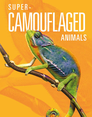 SUPER CAMOUFLAGED ANIMALS