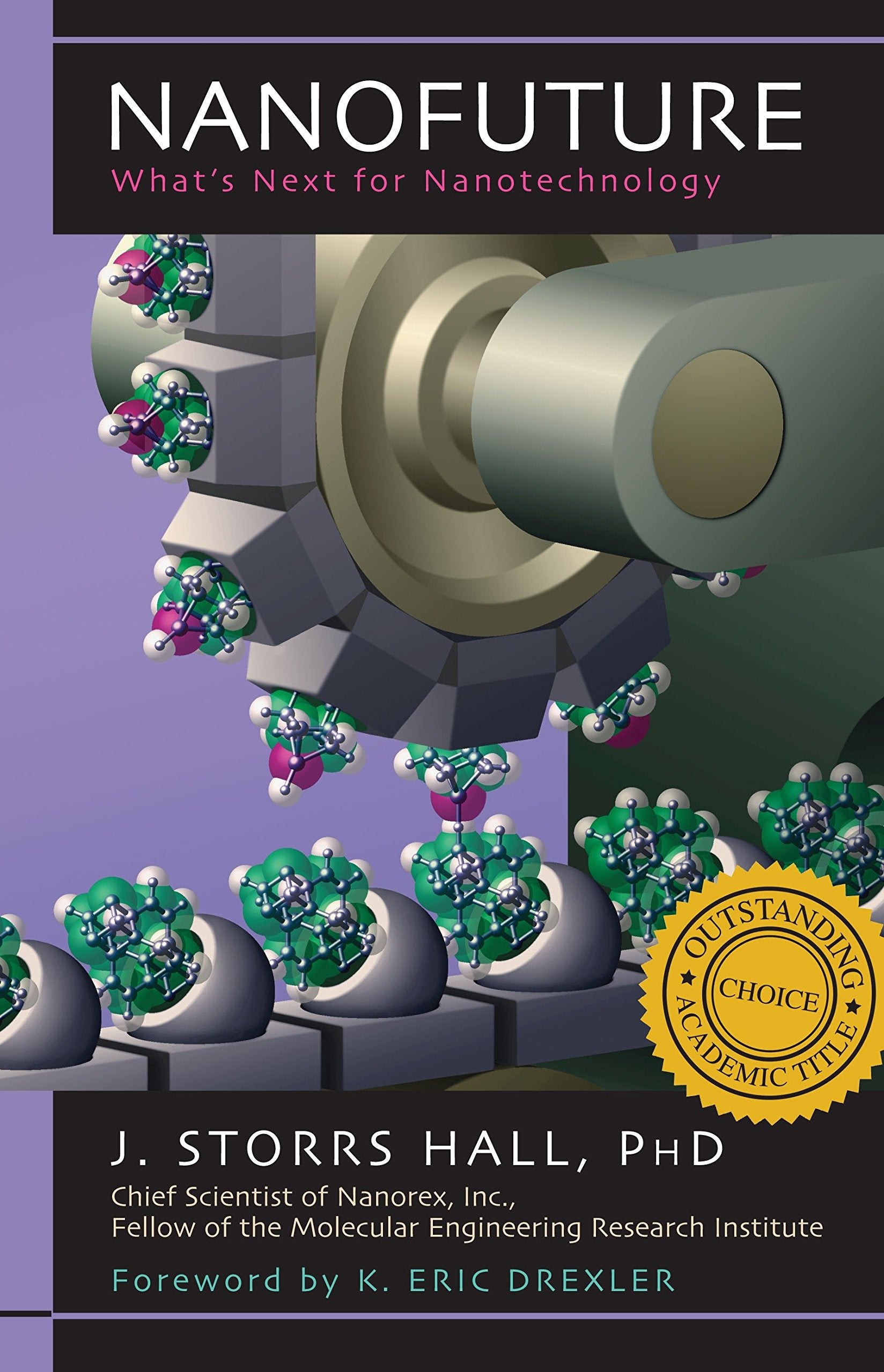 Nanofuture: What's Next For Nanotechnology,Used
