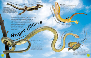 Everything You Need to Know About Snakes,New