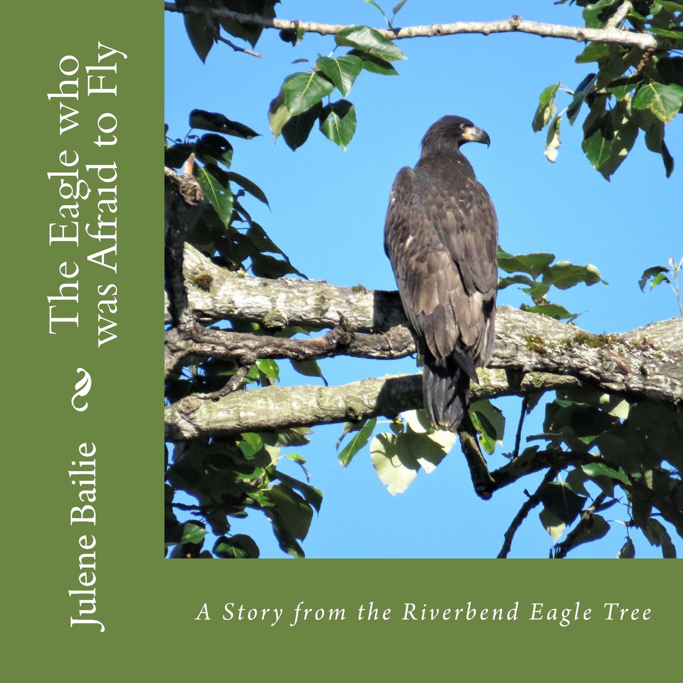 The Eagle Who Was Afraid To Fly (The Riverbend Eagle Tree) (Volume 2),Used