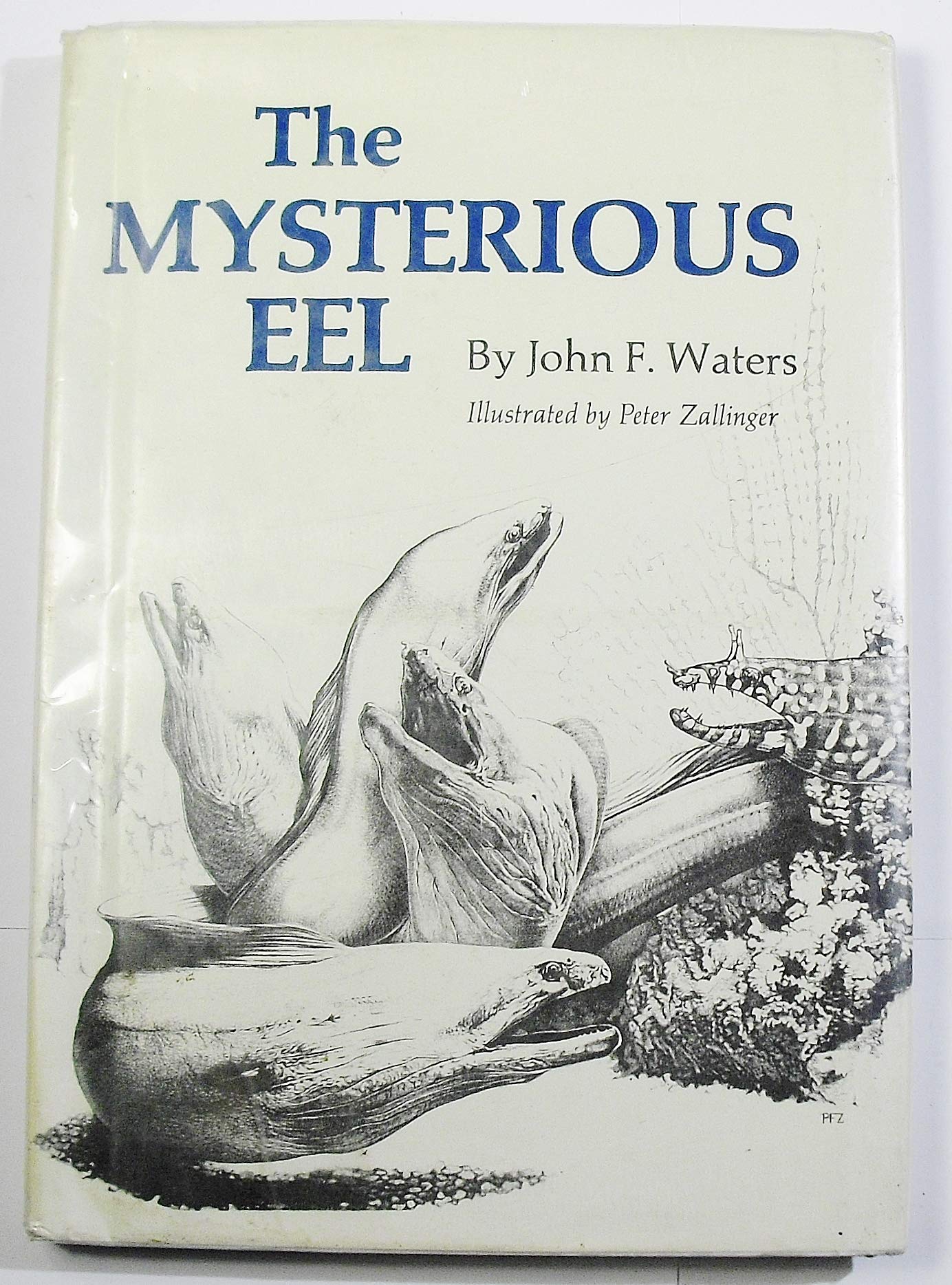 The Mysterious Eel,Used
