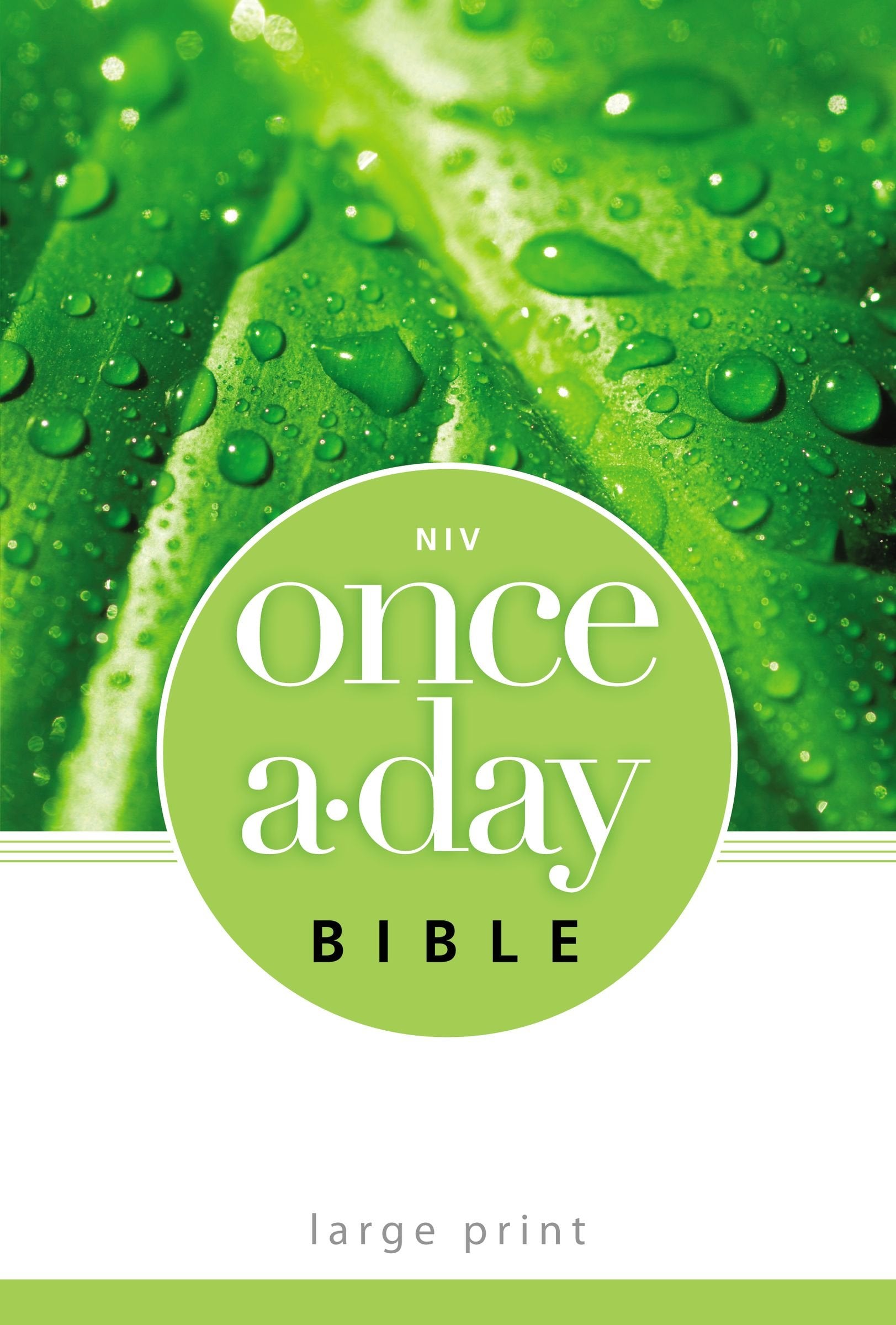 NIV, OnceADay Bible, Large Print, Paperback,Used