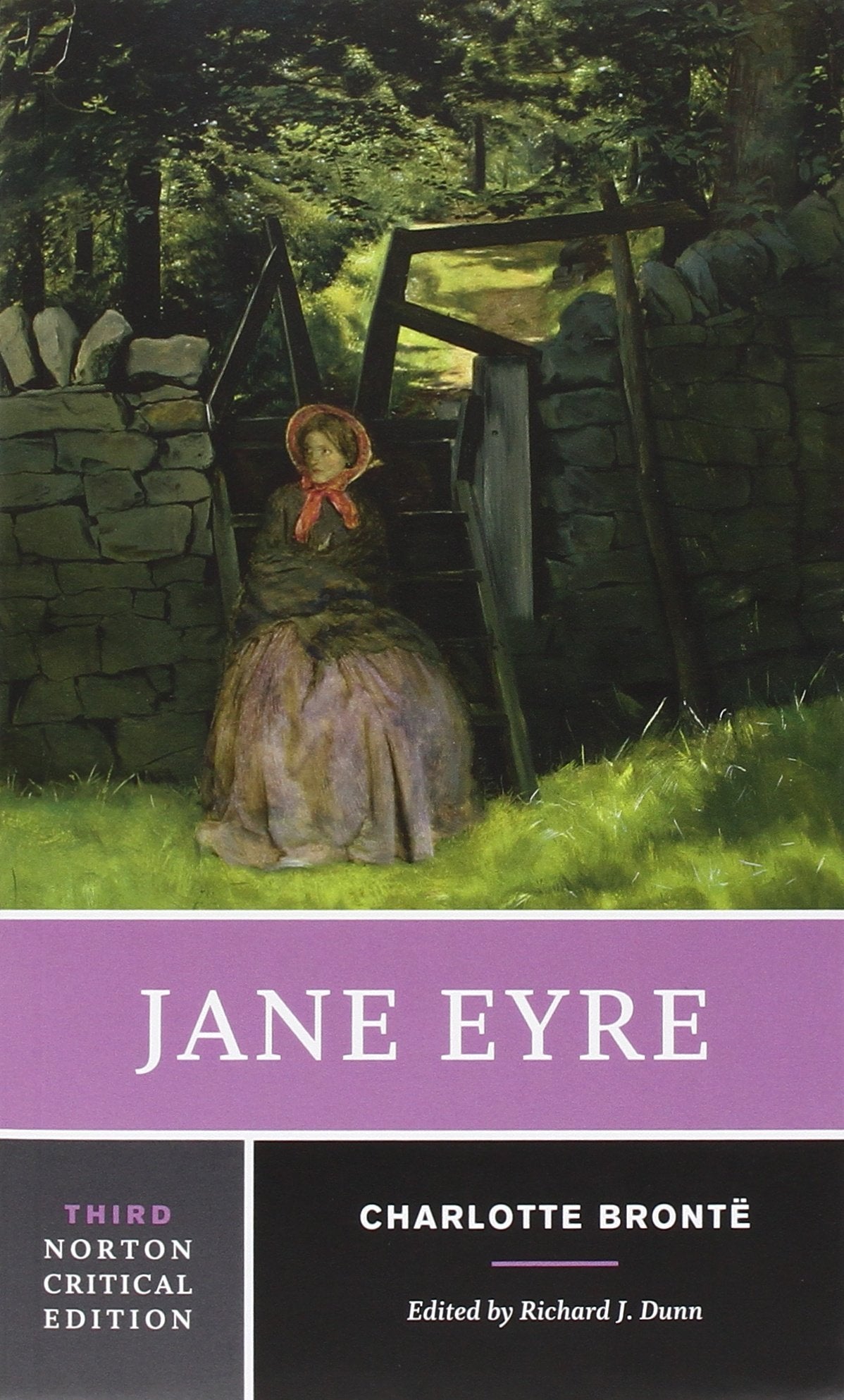 Jane Eyre (Norton Critical Editions),Used